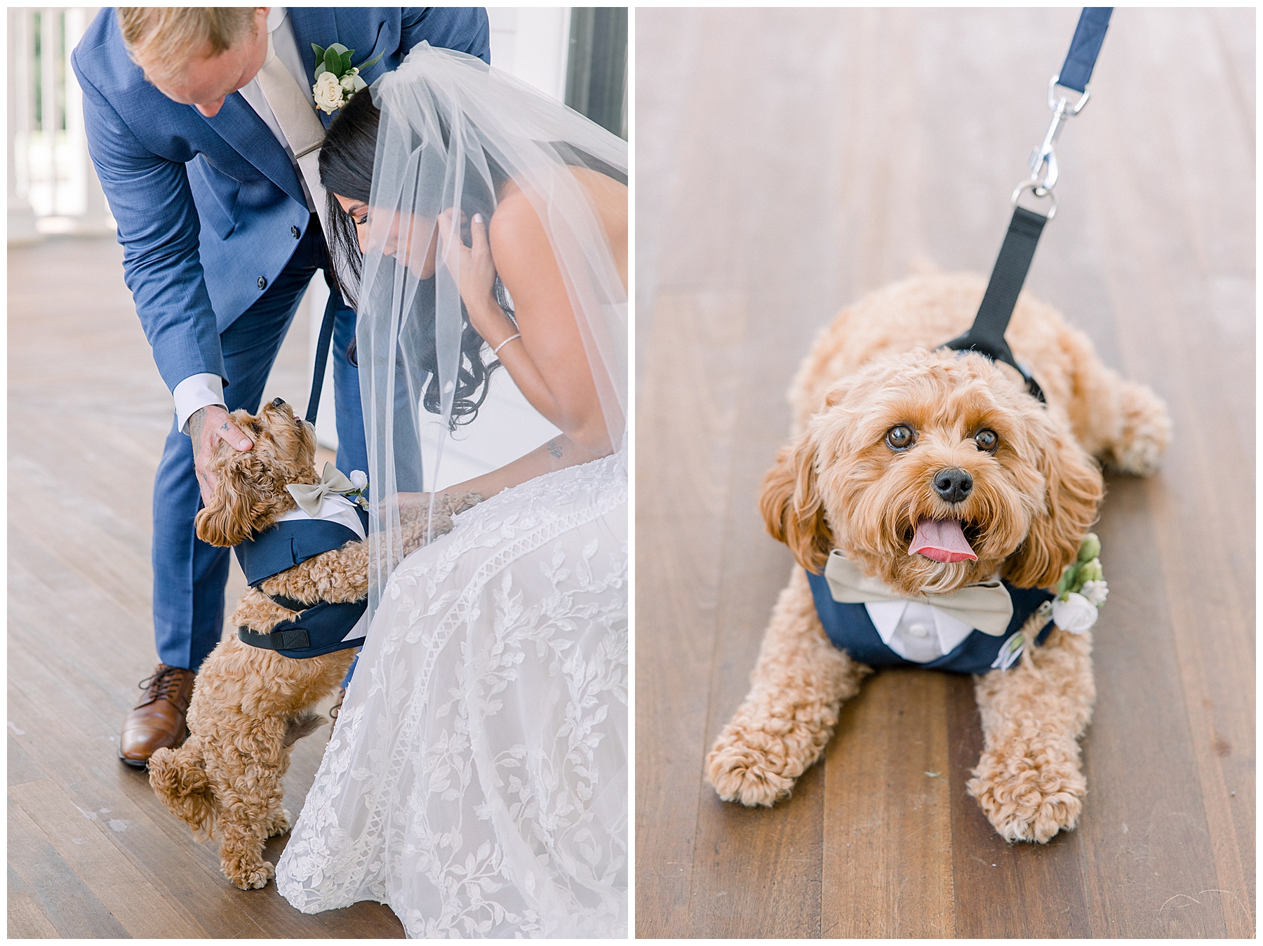 wedding rings from Kimpton Taconic Hotel Wedding with bride, groom and their dog in tux
