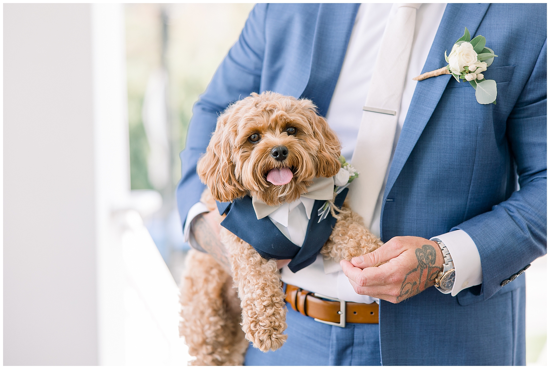 dog and ring bearer in custom tux