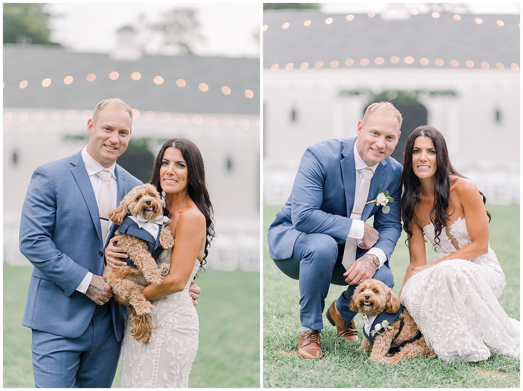 newlywed portraits with their dog brody