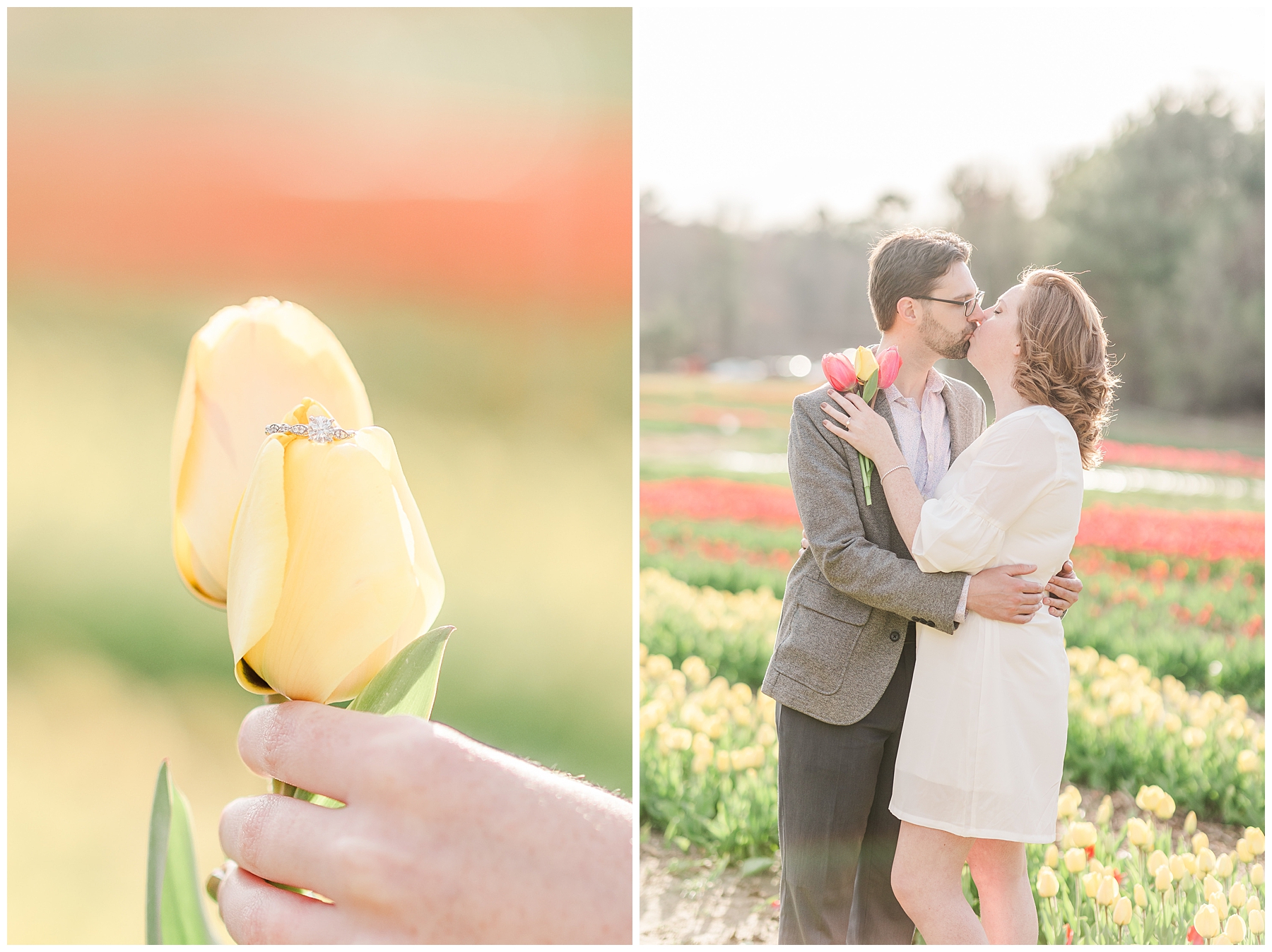 engagement ring on yellow tulip
