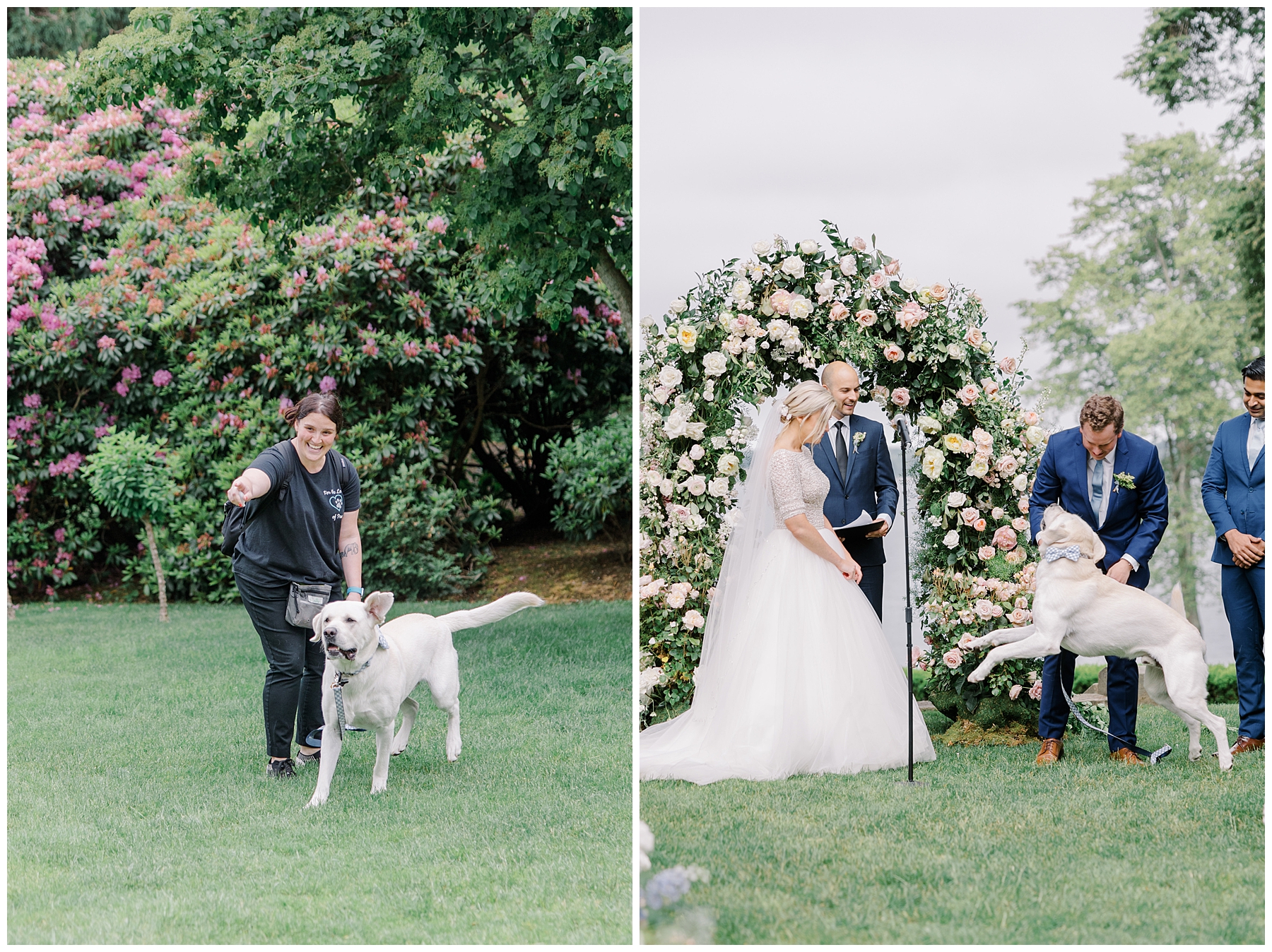 couple's dog at outdoor wedding ceremony