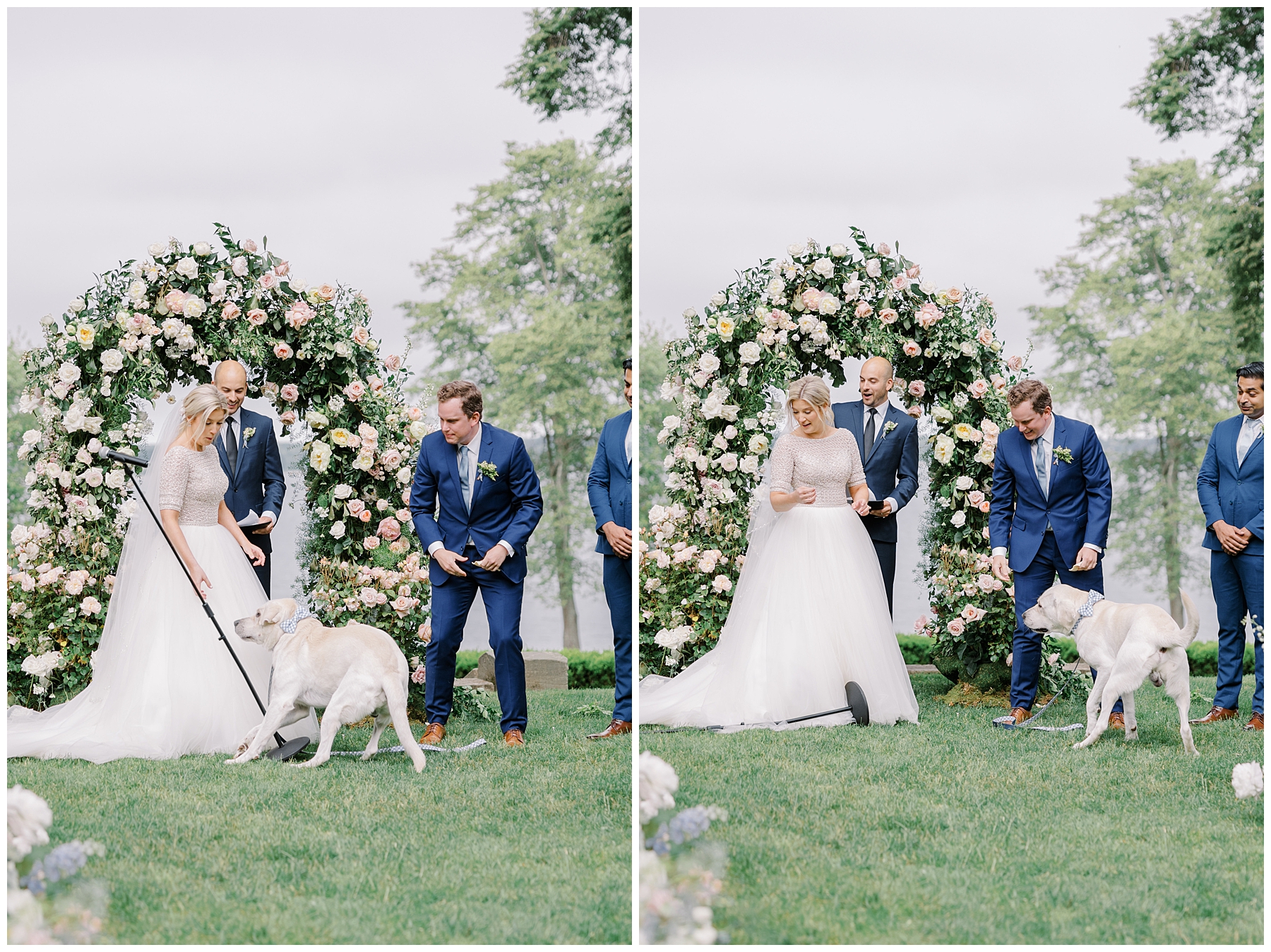 funny moment during wedding ceremony with dog 