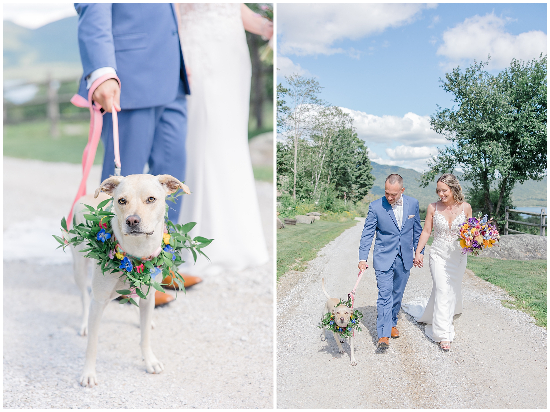 couple walk with their dog before Dreamy Vermont Wedding at Mountain Top Inn & Resort