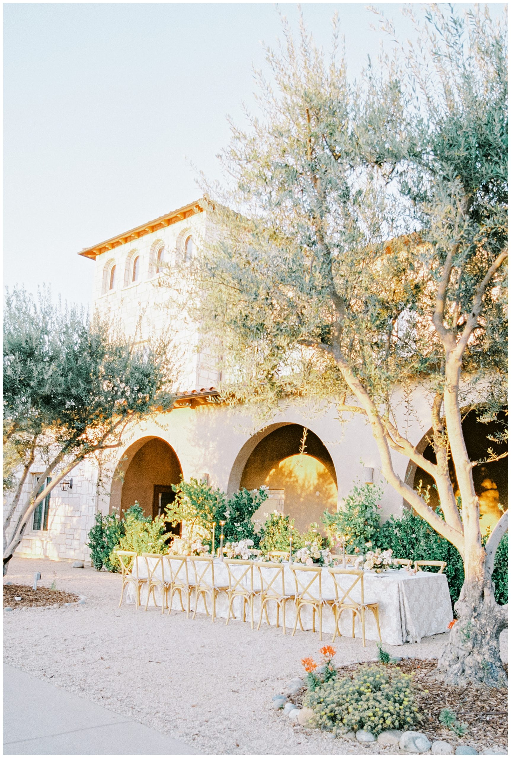 Gorgeous Allegretto Vineyard Resort Wedding in Paso Robles, CA