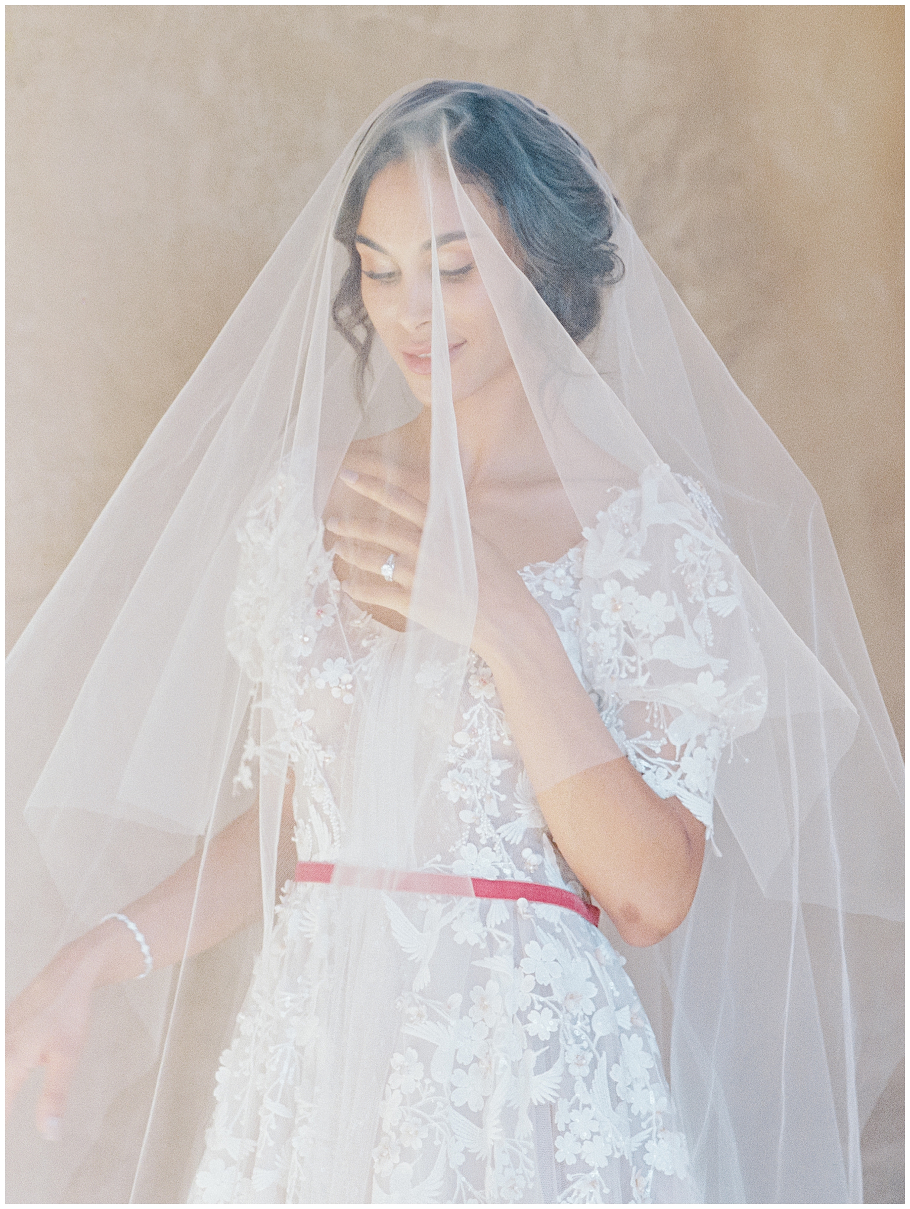 bride portraits with veil over face