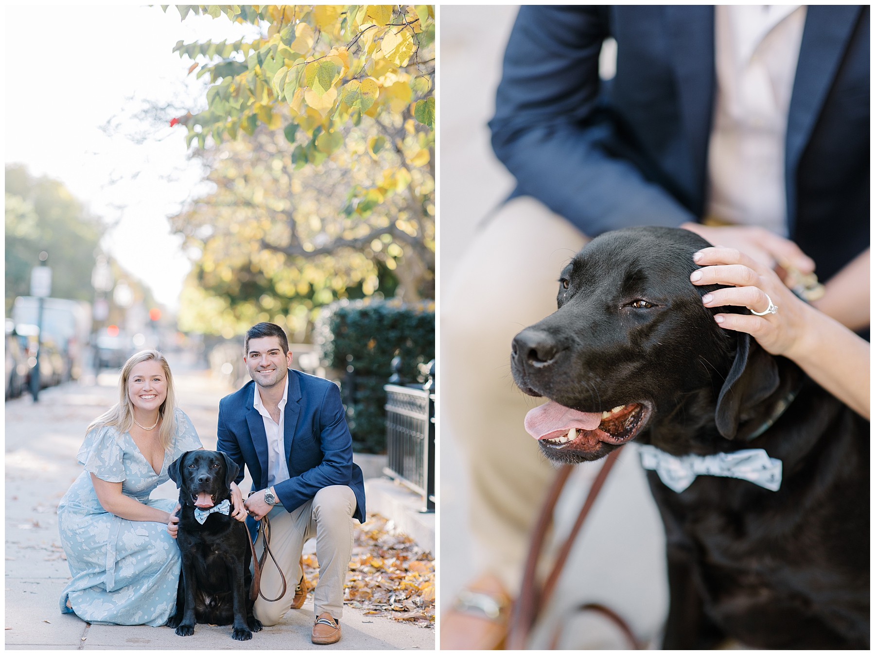 Engagement portraits with dog in Boston