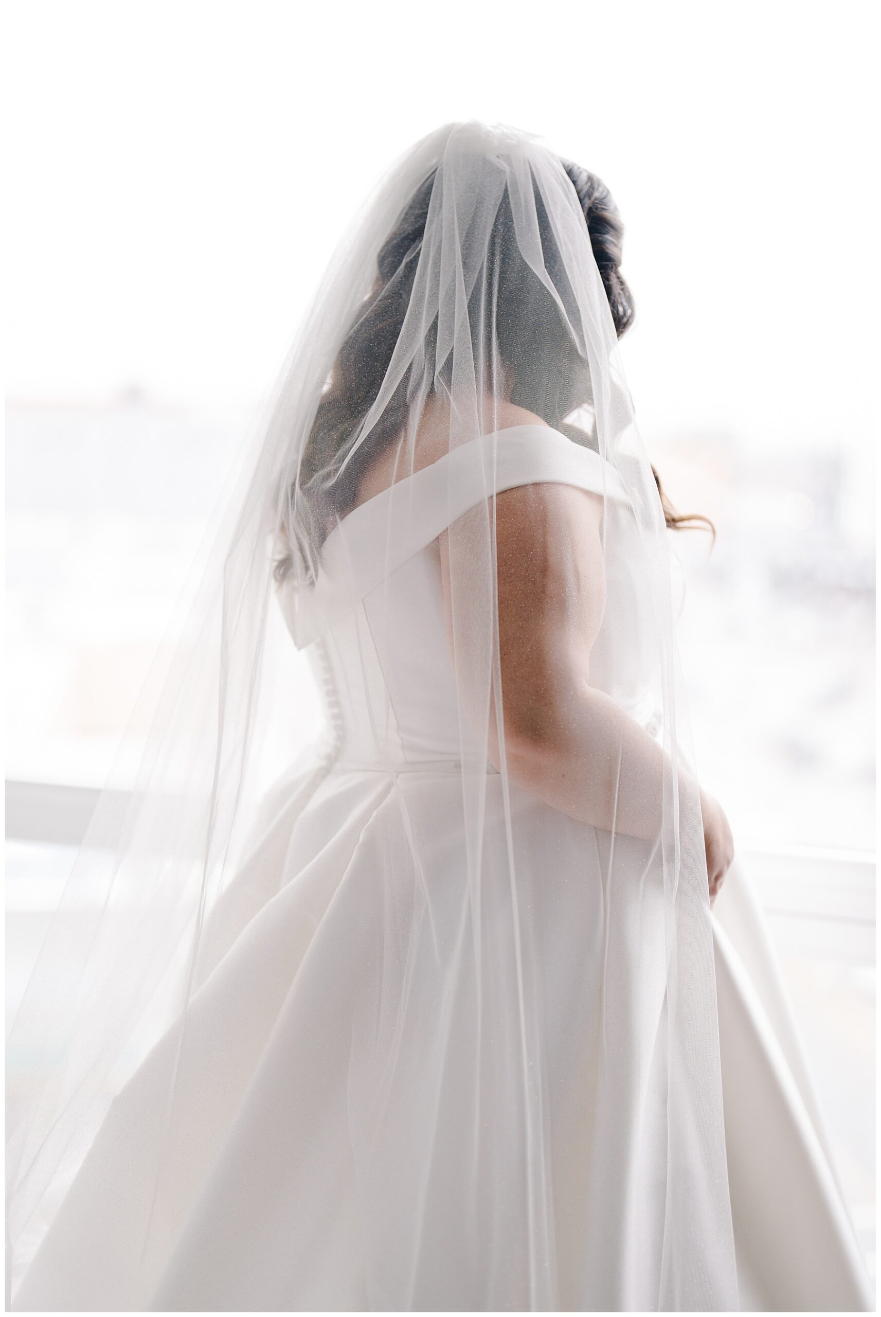 bride's wedding dress and veil 