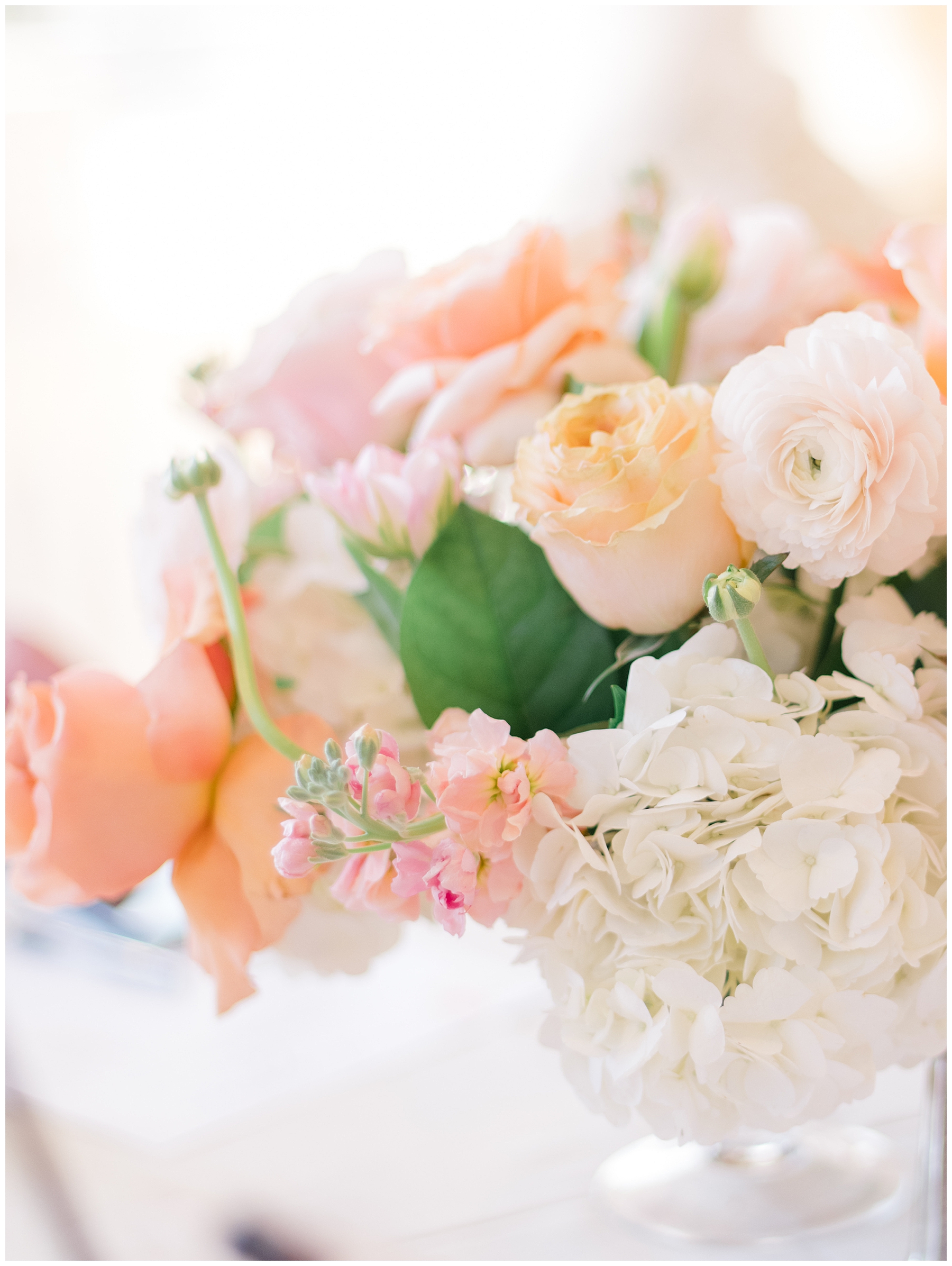 white and peach colored flowers
