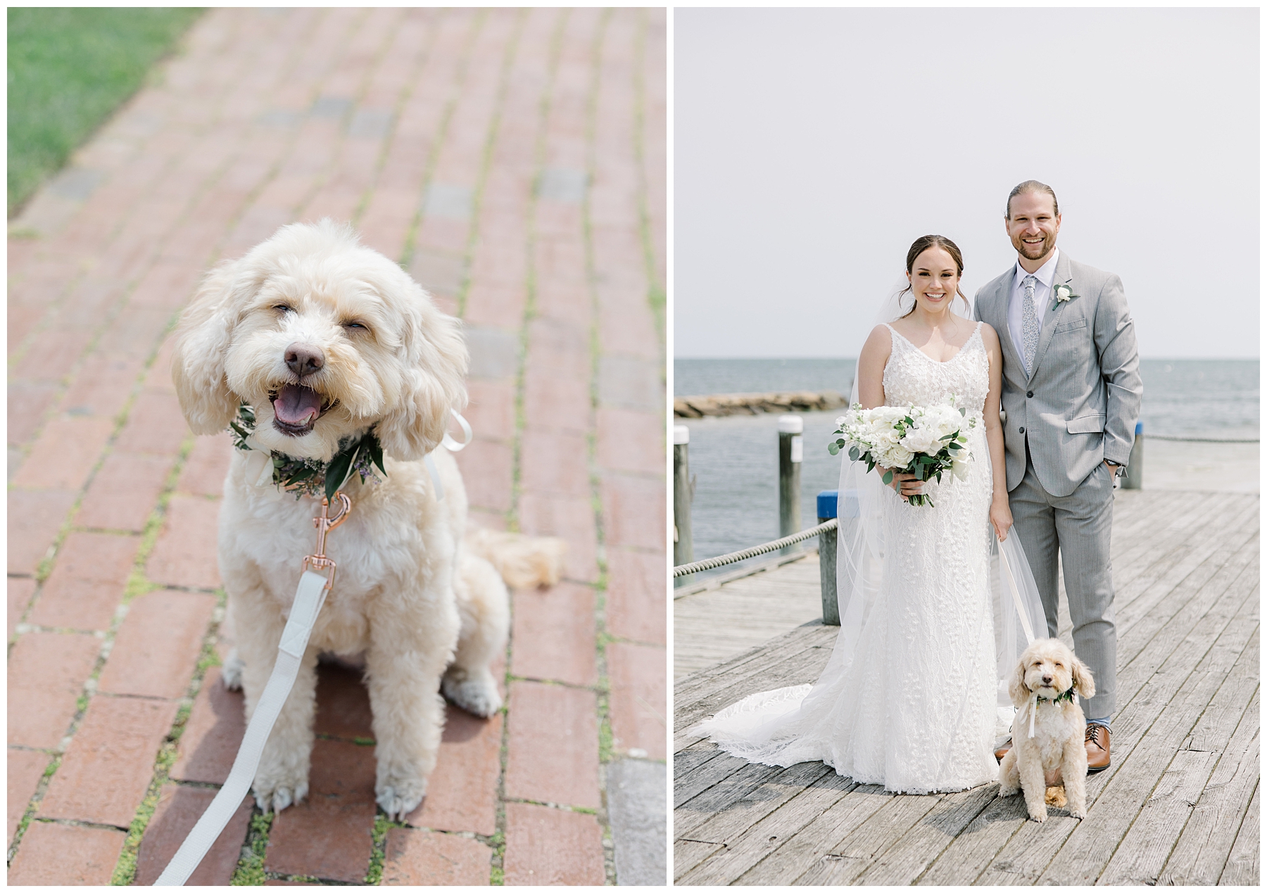 bride and groom portraits with their dog 