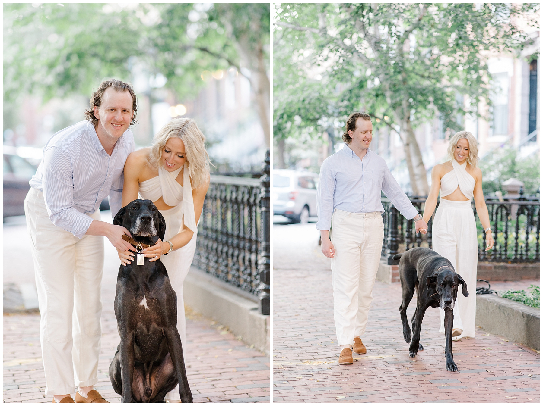 South End Boston Engagement portaits with couple's great dane