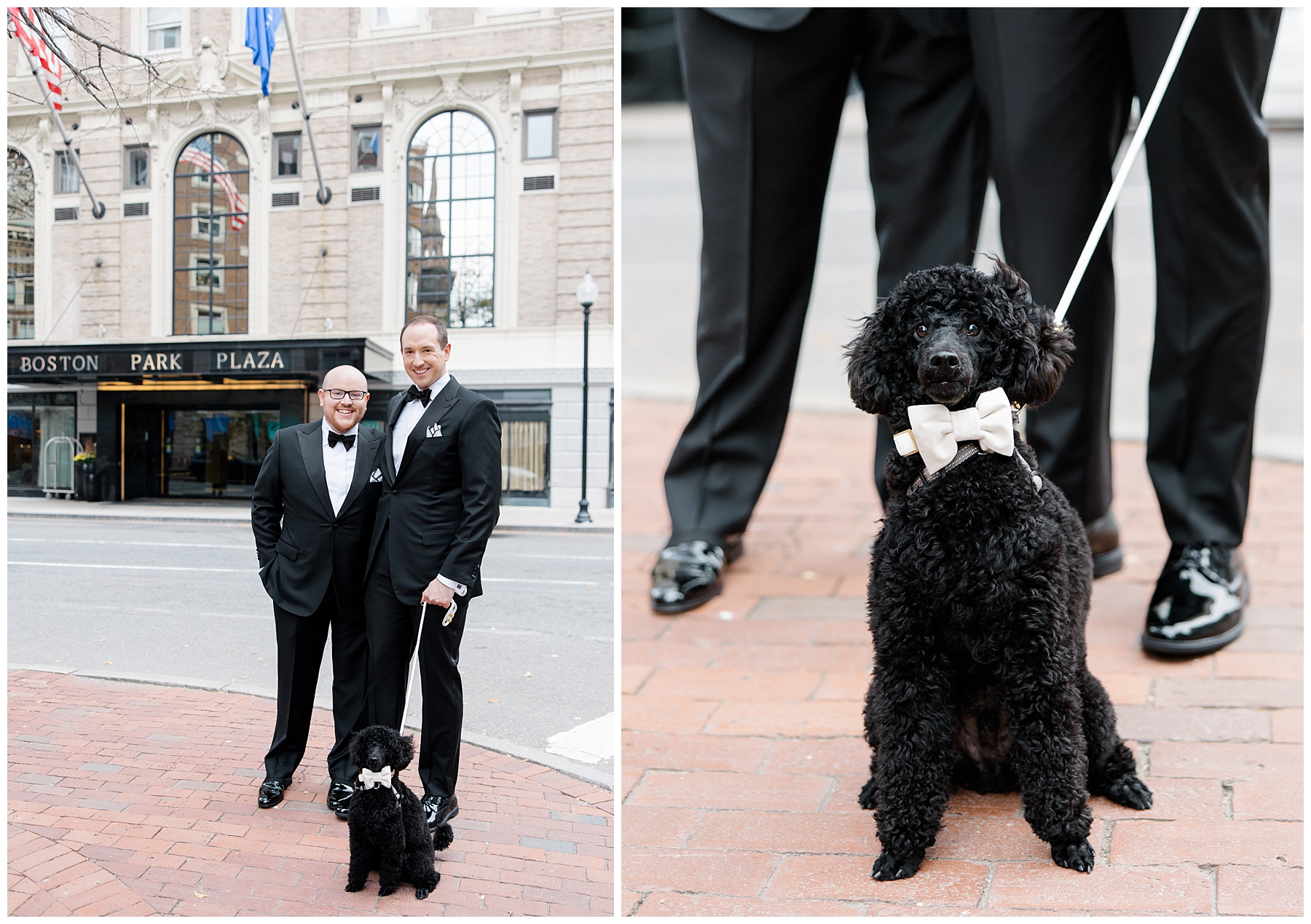 wedding portraits with dog in Boston