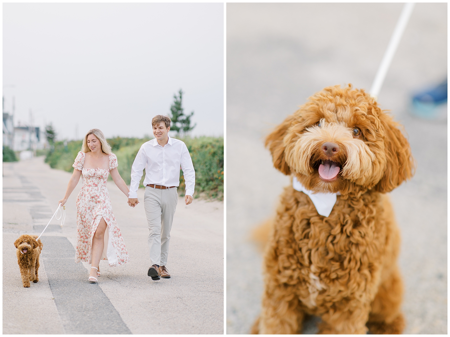 couple walk their adorable dog during engagement session