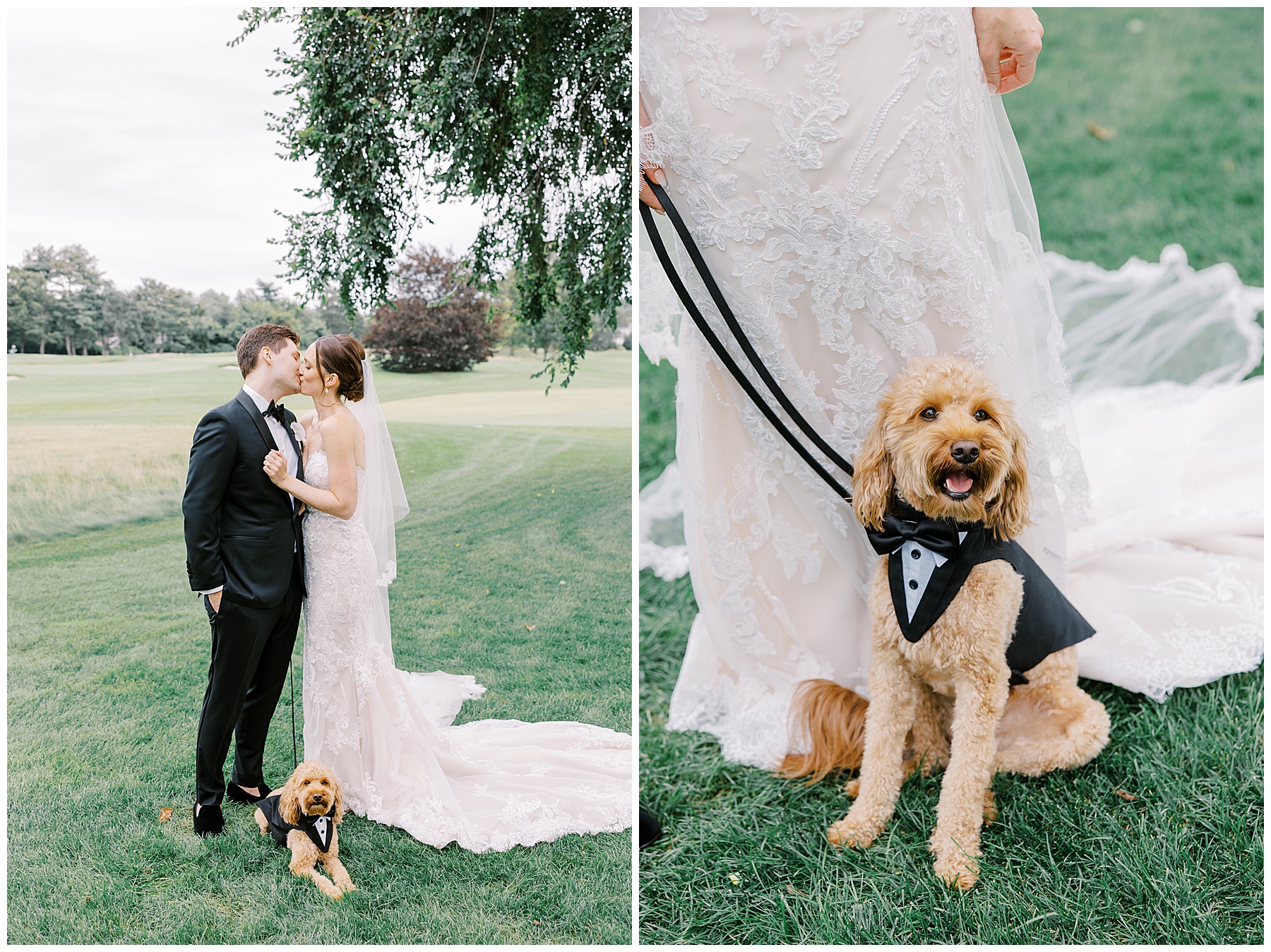 dog sits with couple during wedding portraits