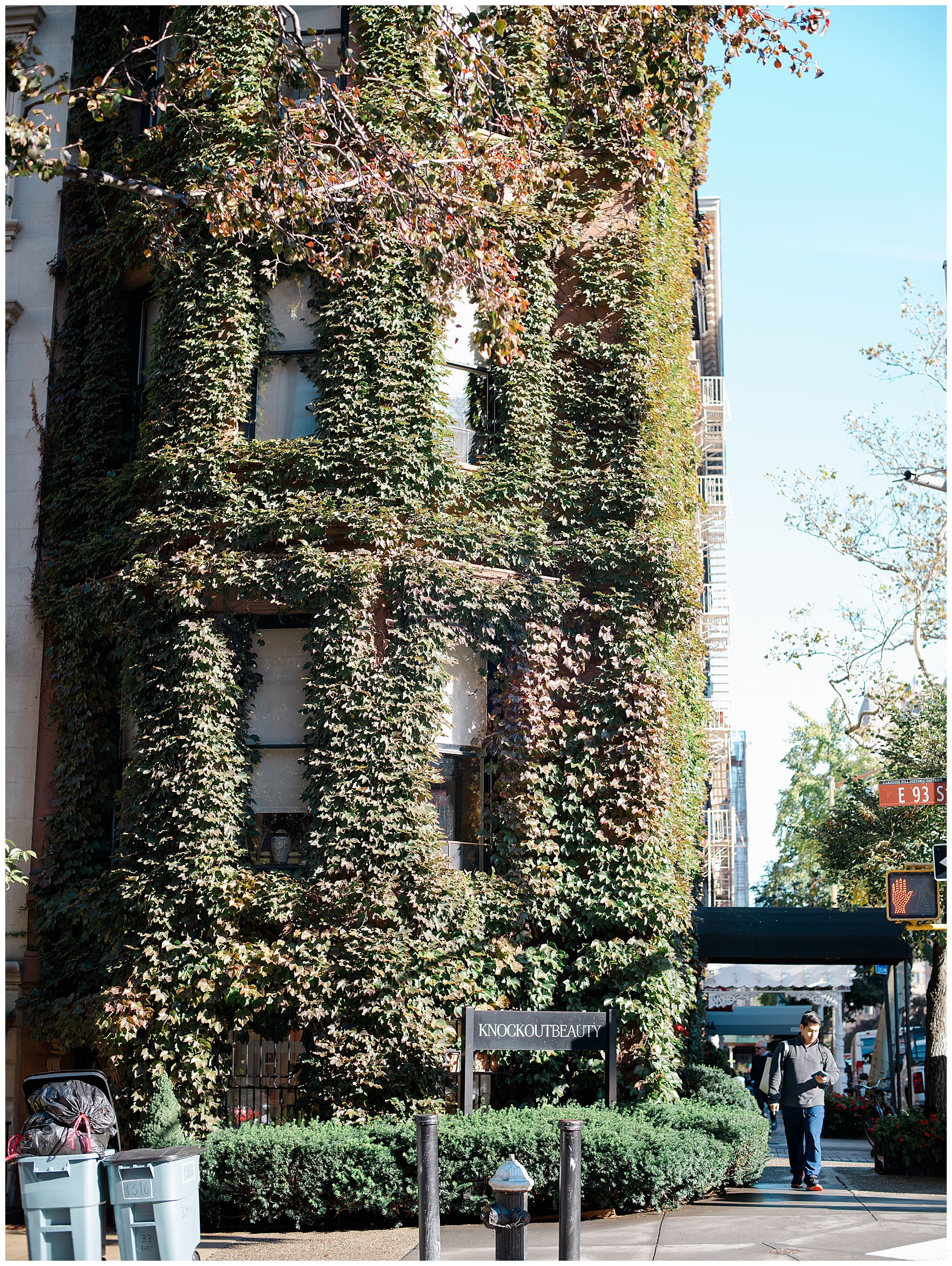 beautiful NY building covered in ivy