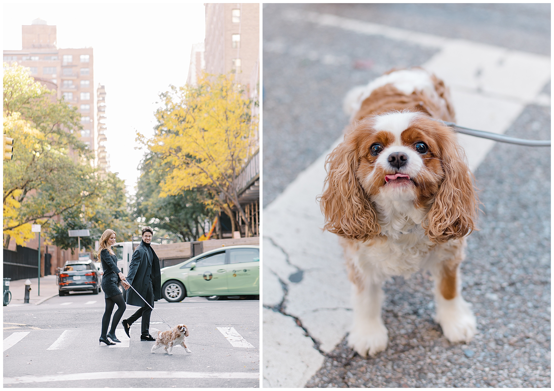 engagement portraits with dog