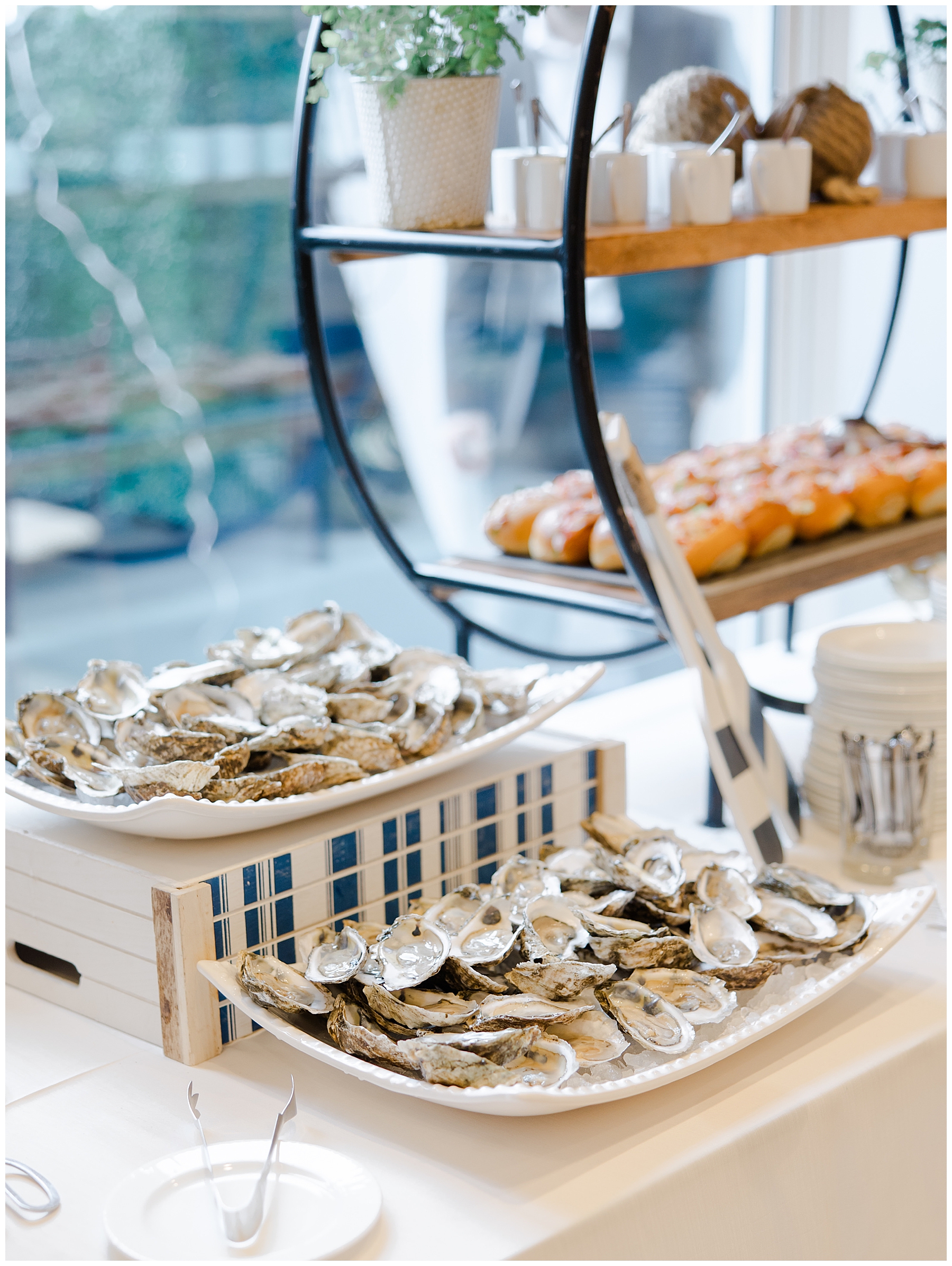 oyster bar at cocktail hour
