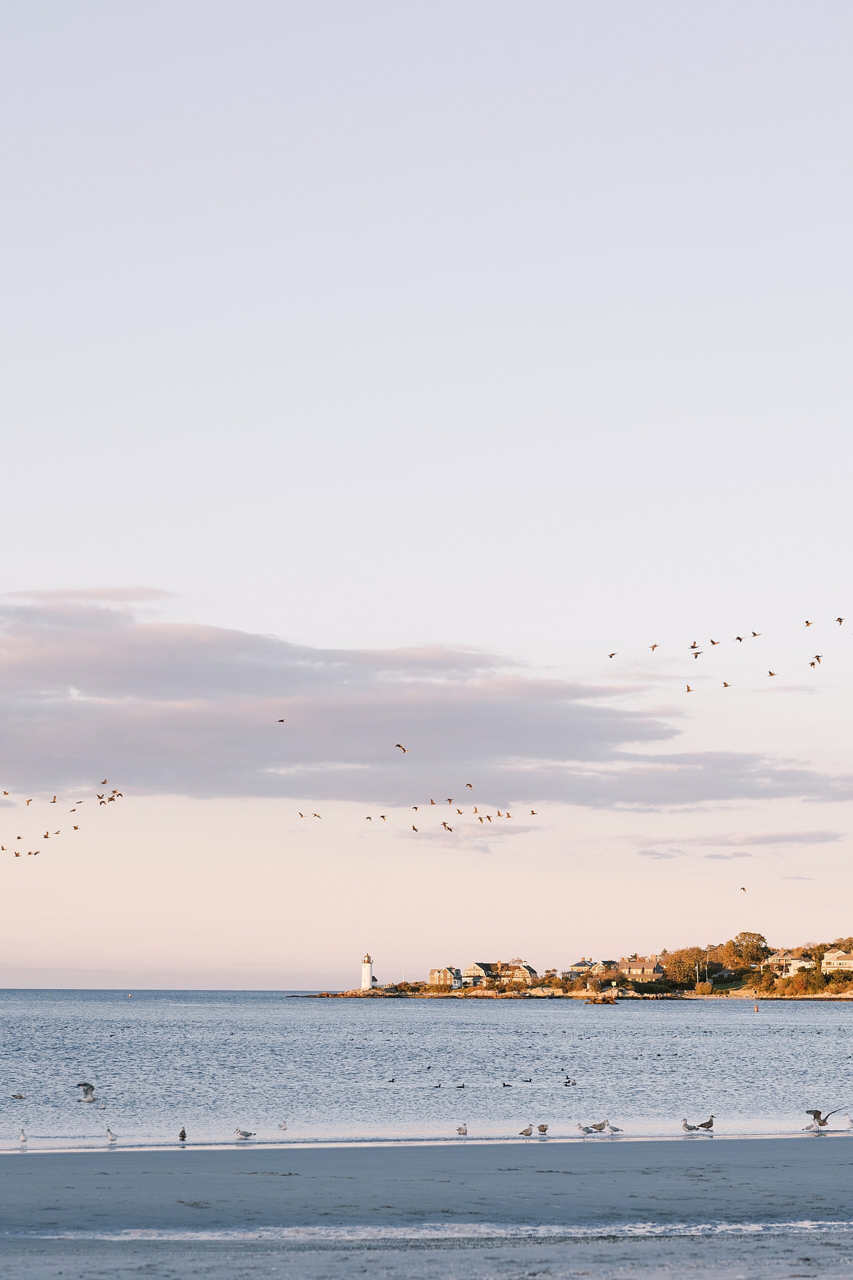 scenic shores of Wingaersheek Beach