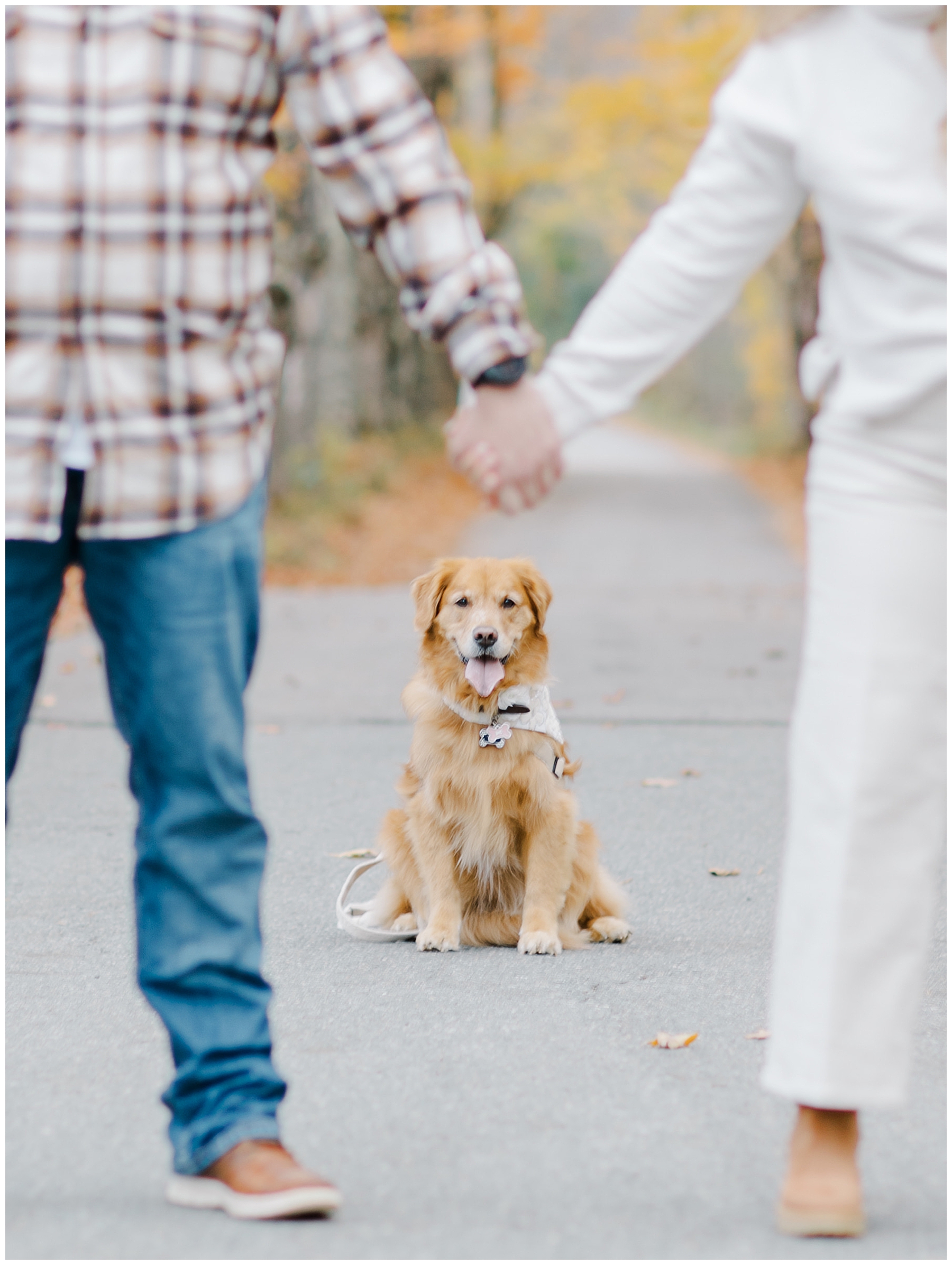 fall engagement with dog