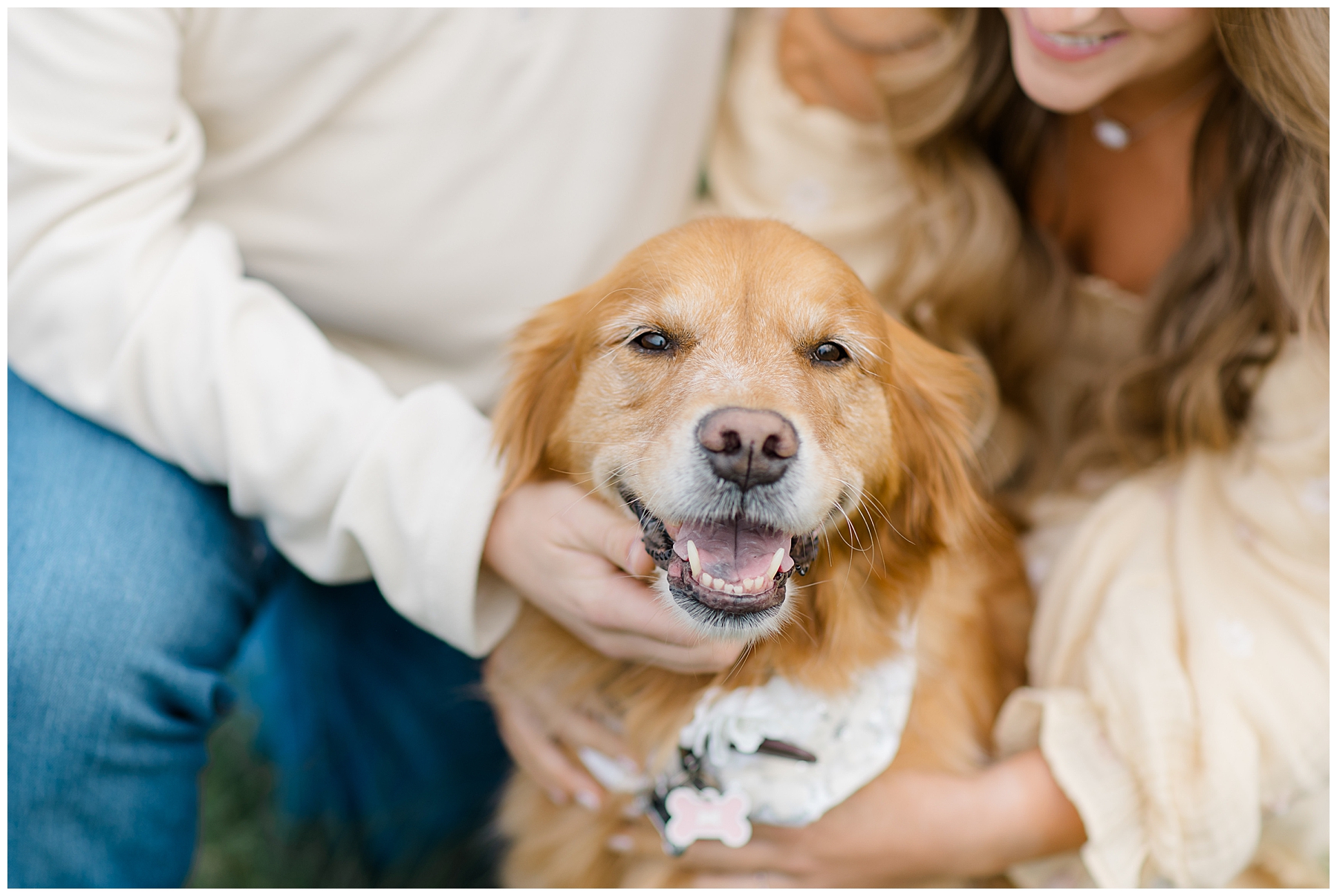 dog with couple during engagement session