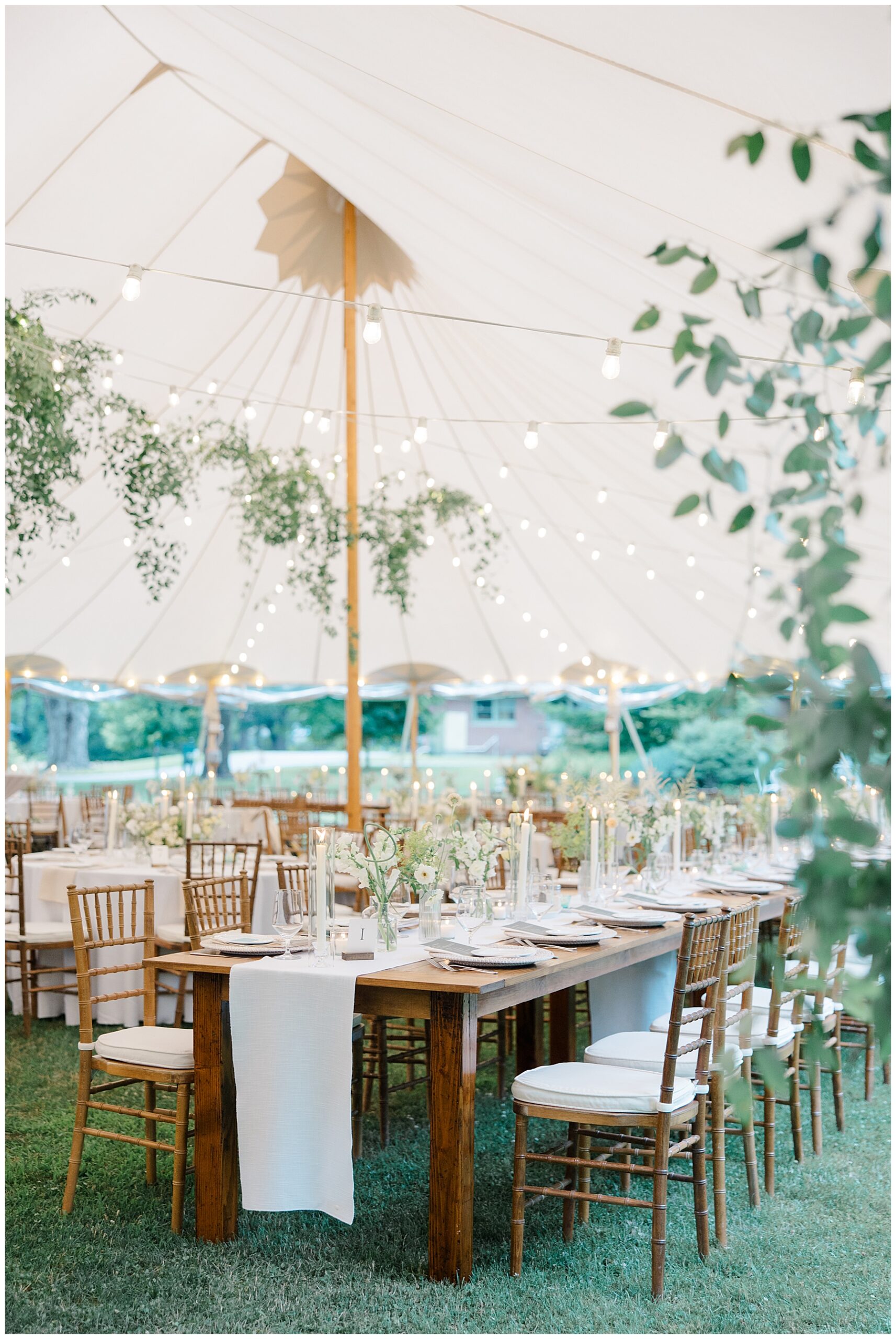 elegant reception tent with greenery and stringed lights 