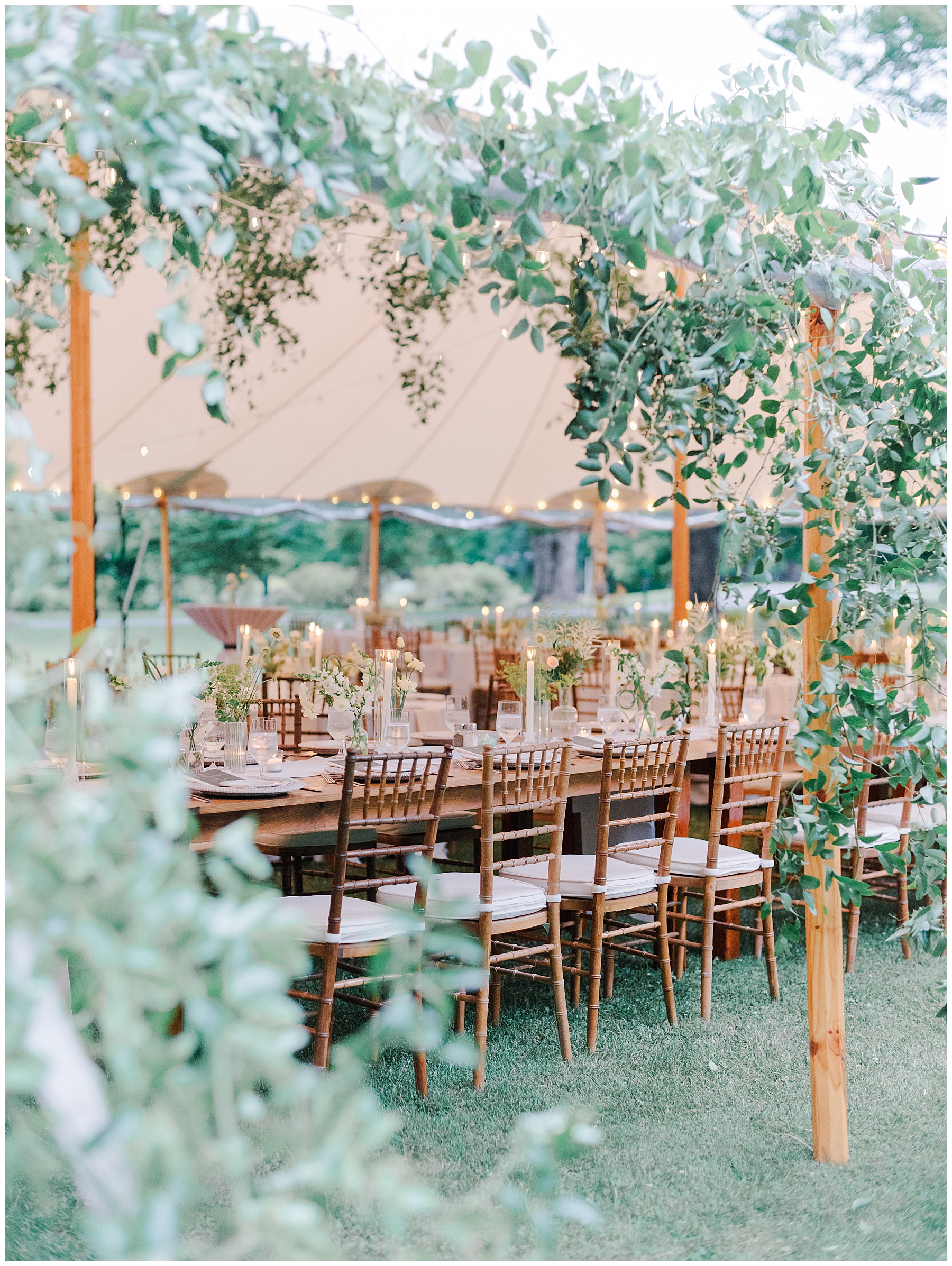 greenery decorates tent to enhance garden wedding theme