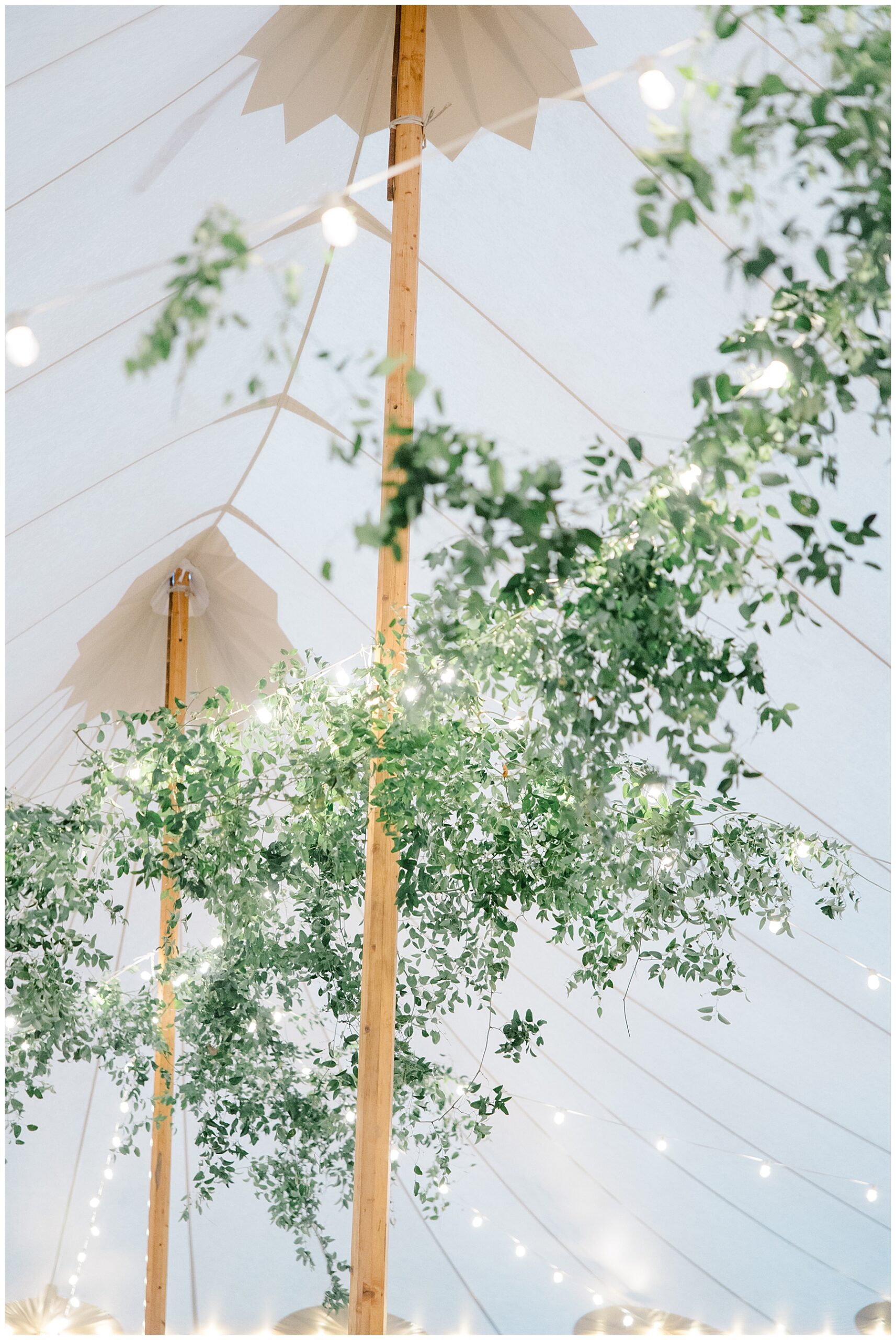 stringed lights and greenery decorate celling of reception tent