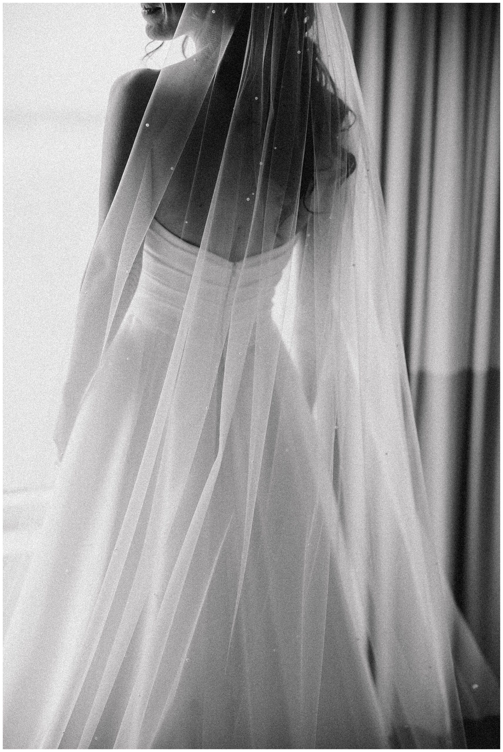 bride's veil