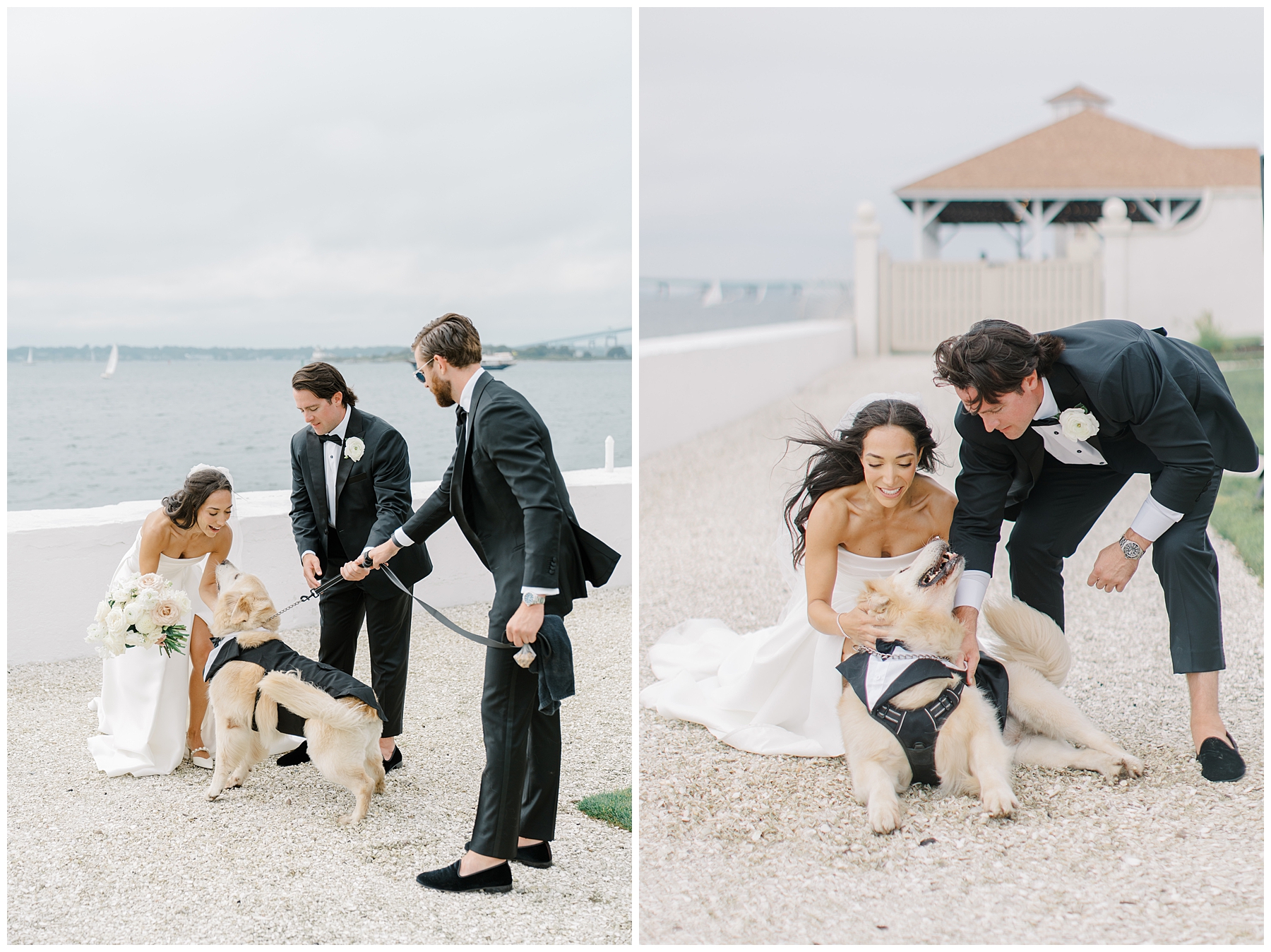 bride and groom photos with dogs