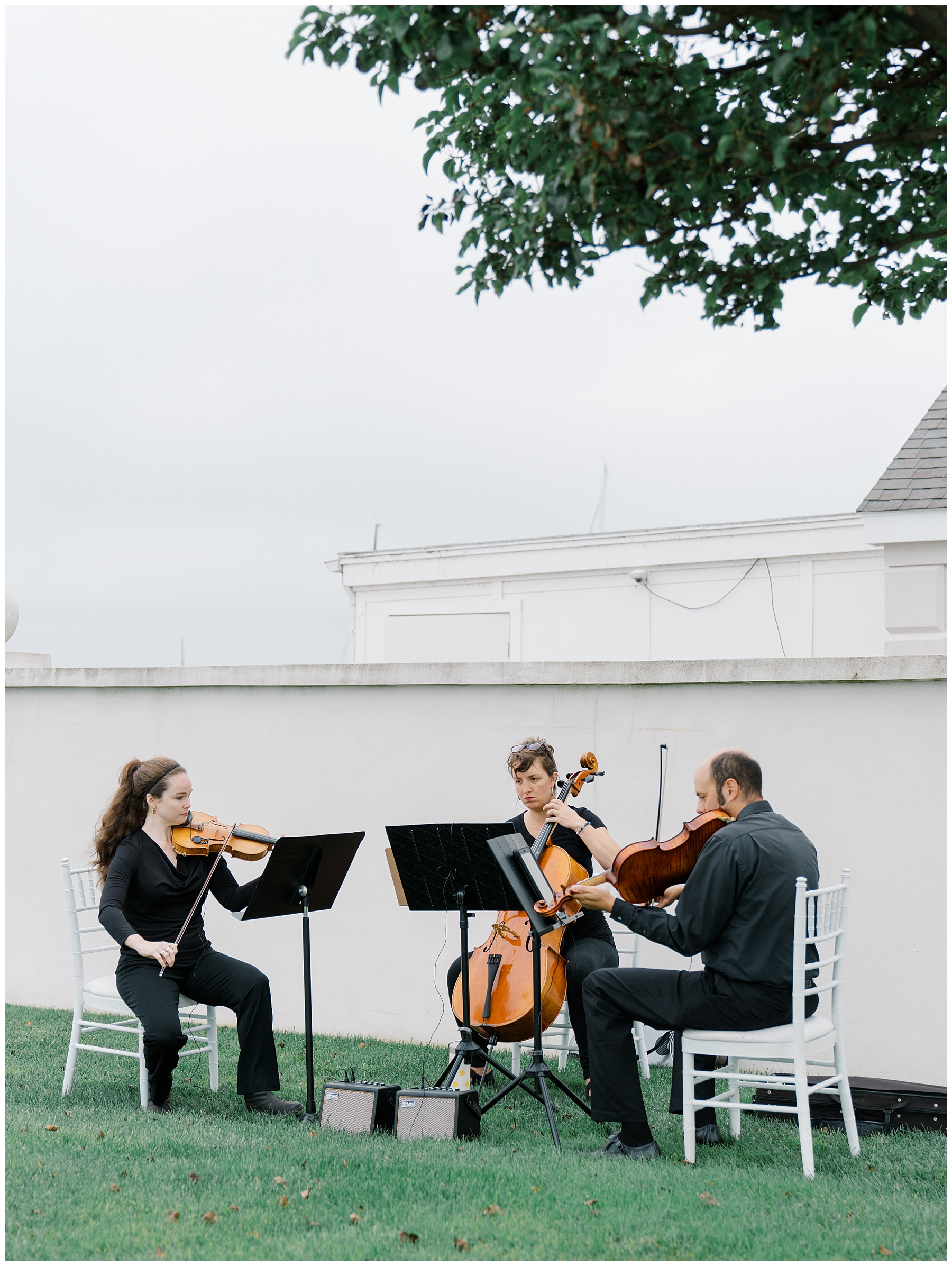 stringed instruments at wedding ceremony