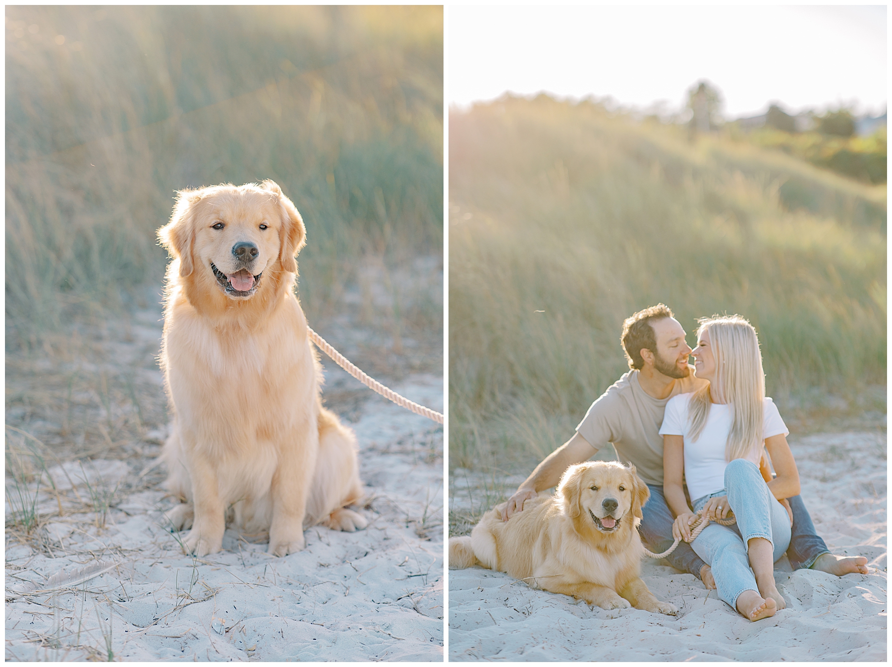 couple sit in the sand with their dog