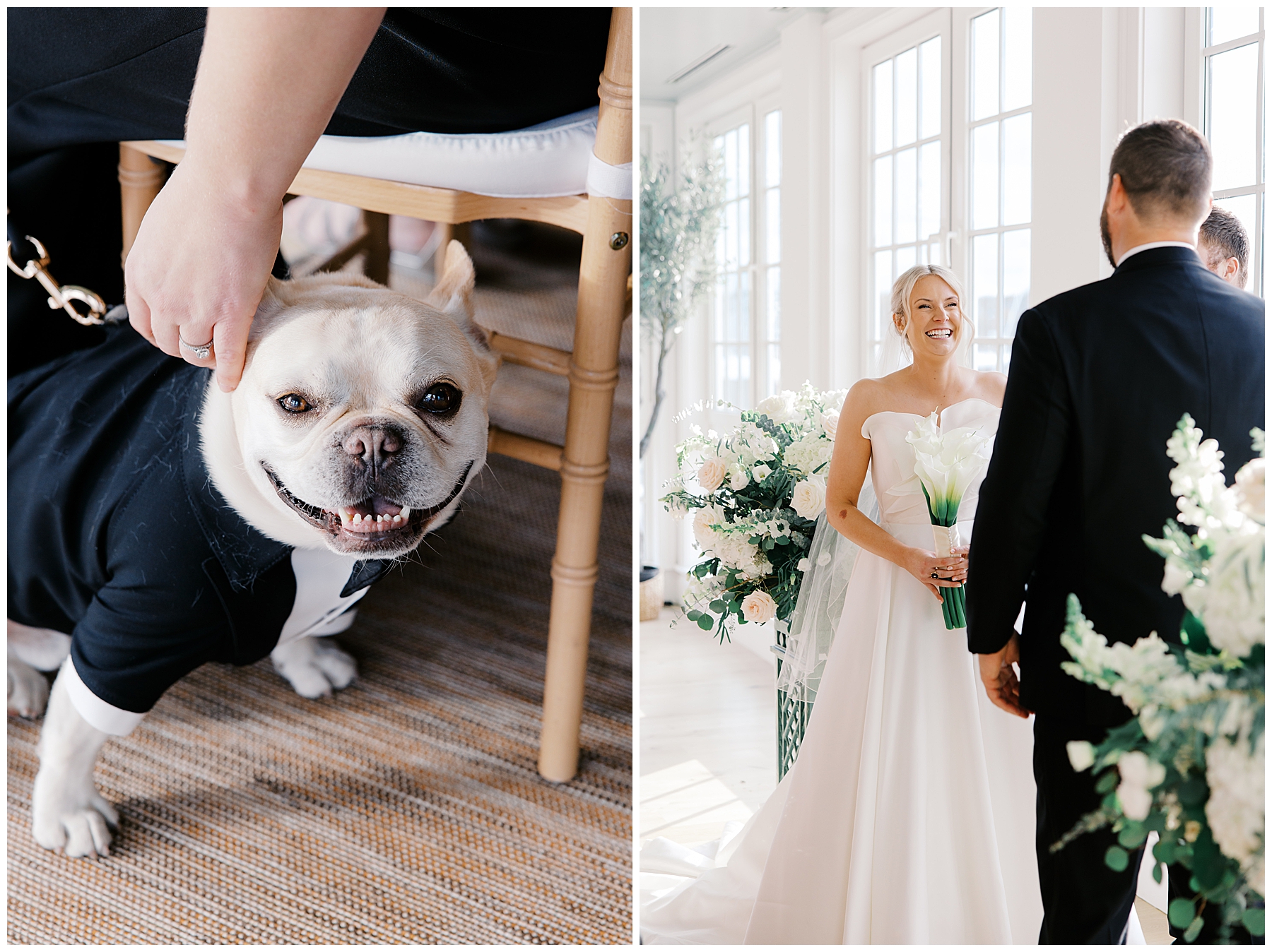 couple's dog at wedding ceremony