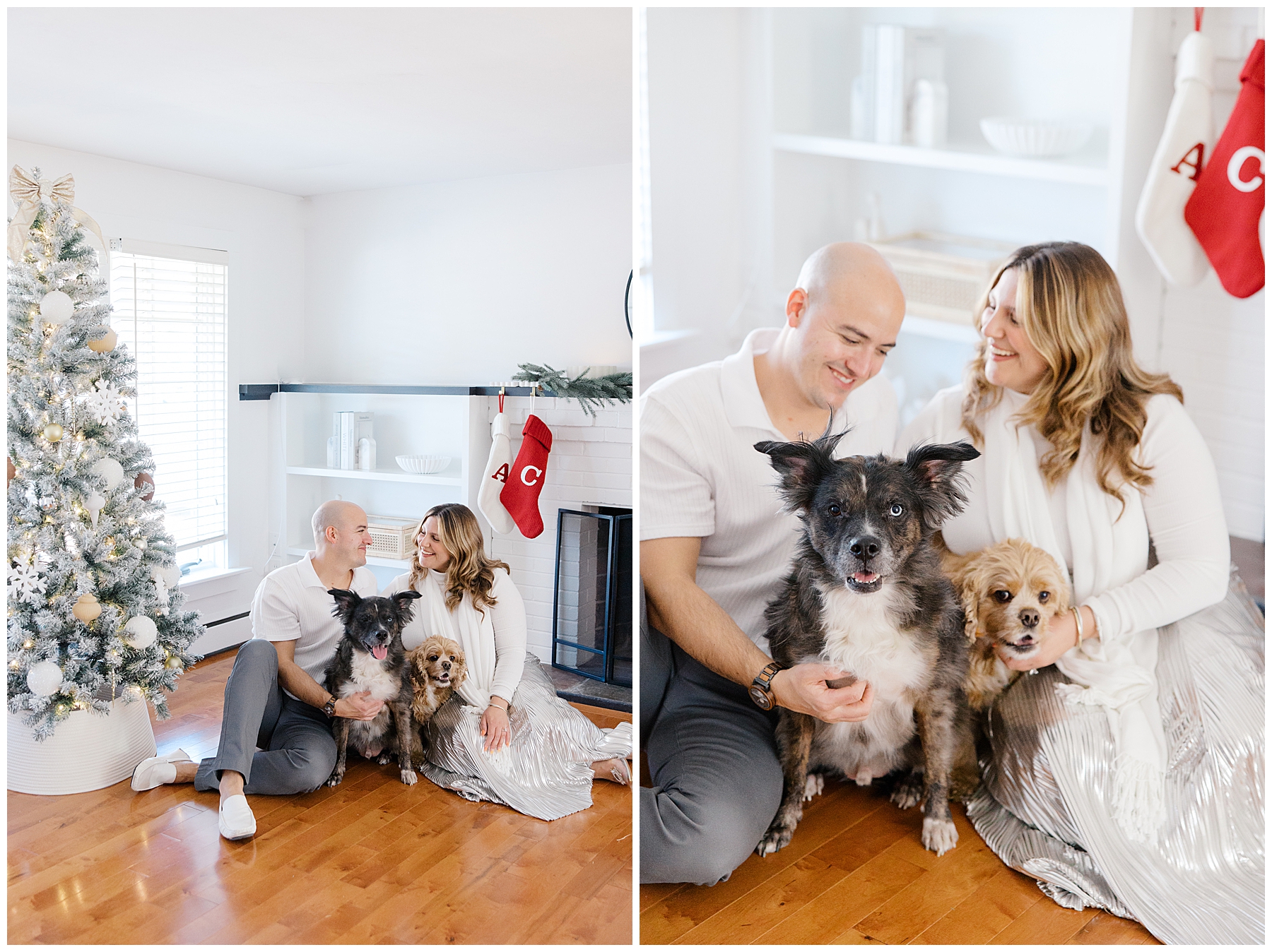 couple portraits with family dogs sitting by Christmas tree