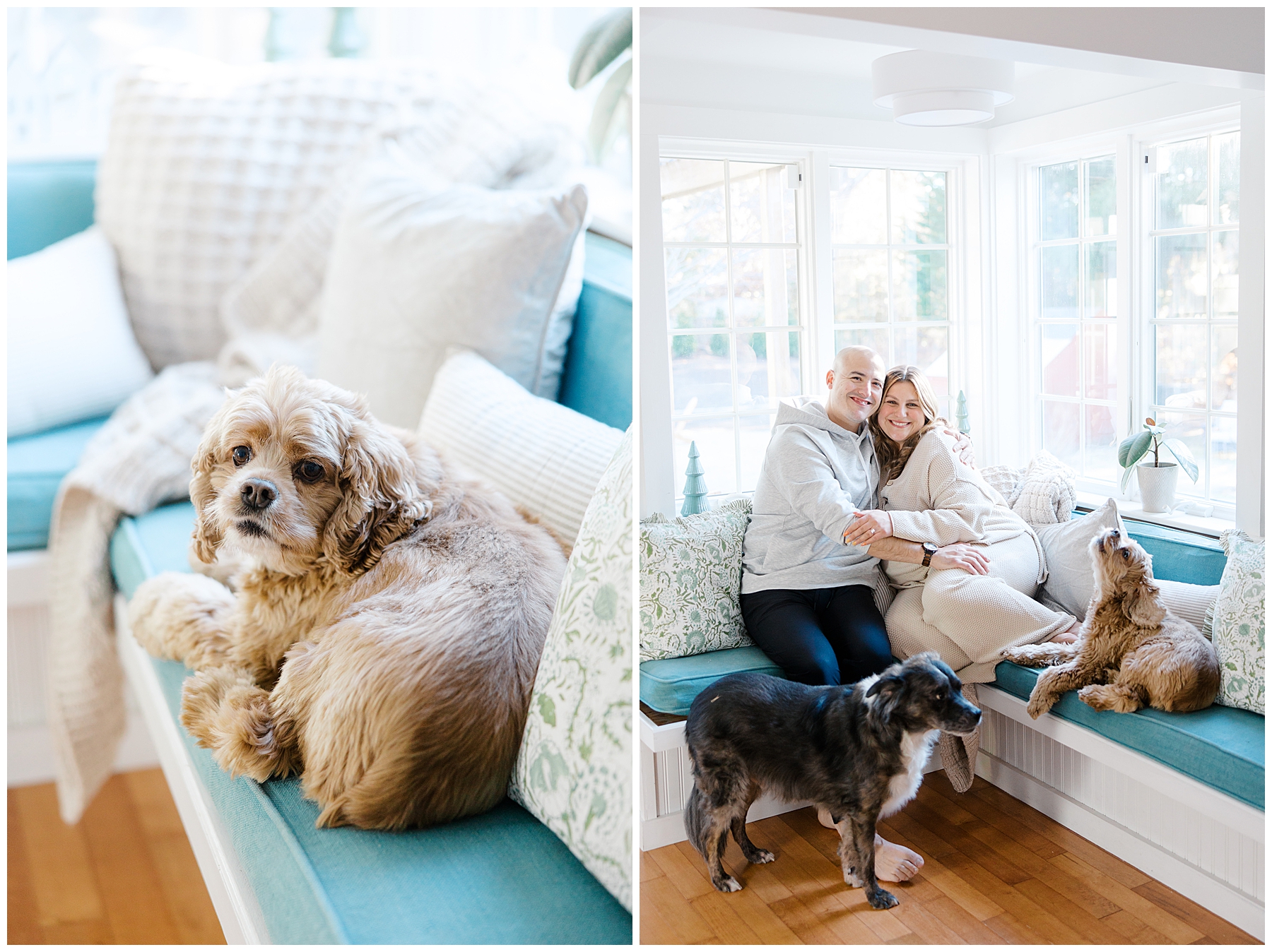 at home engagement photos of newly engaged couple with their dogs
