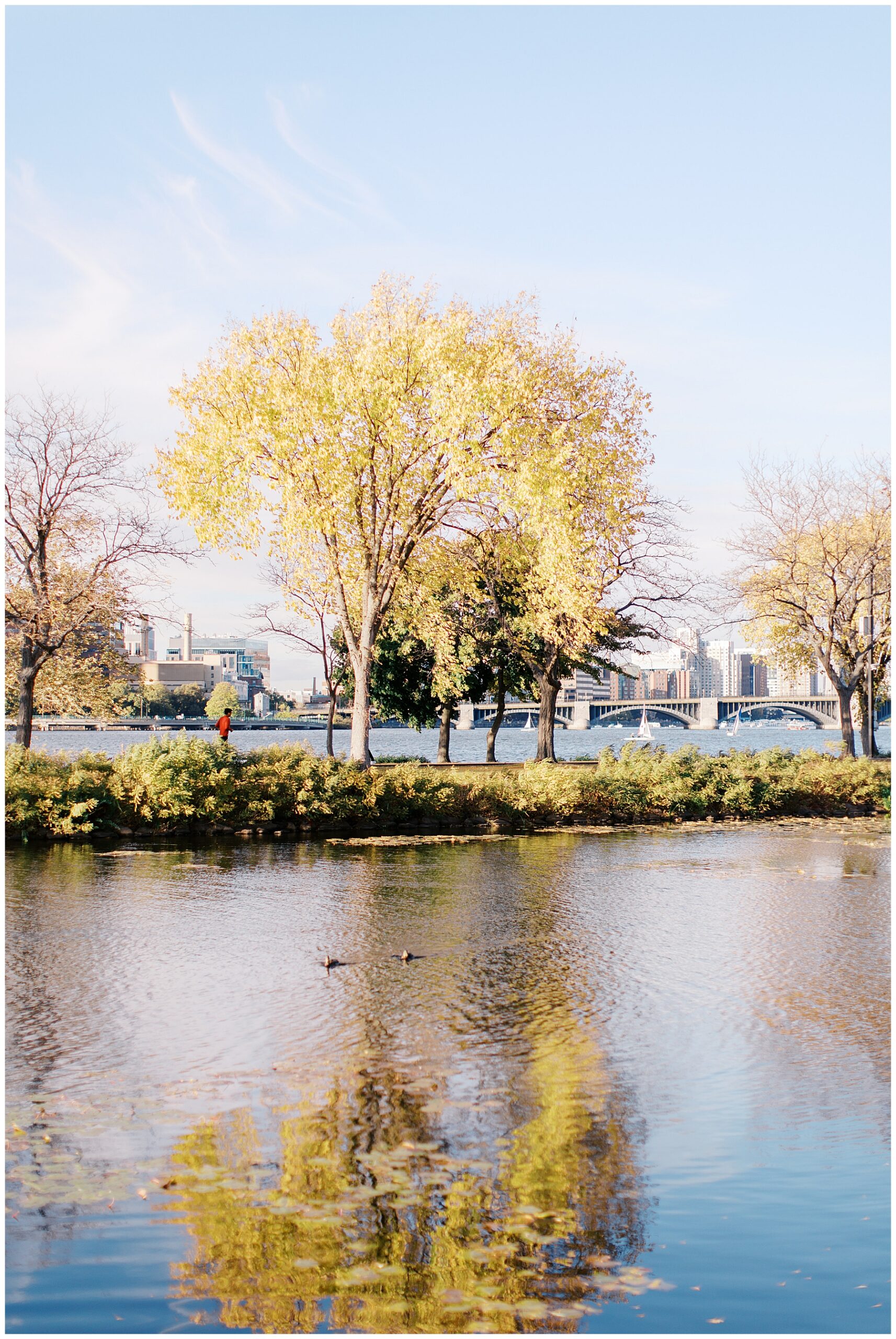 The Esplanade in Boston