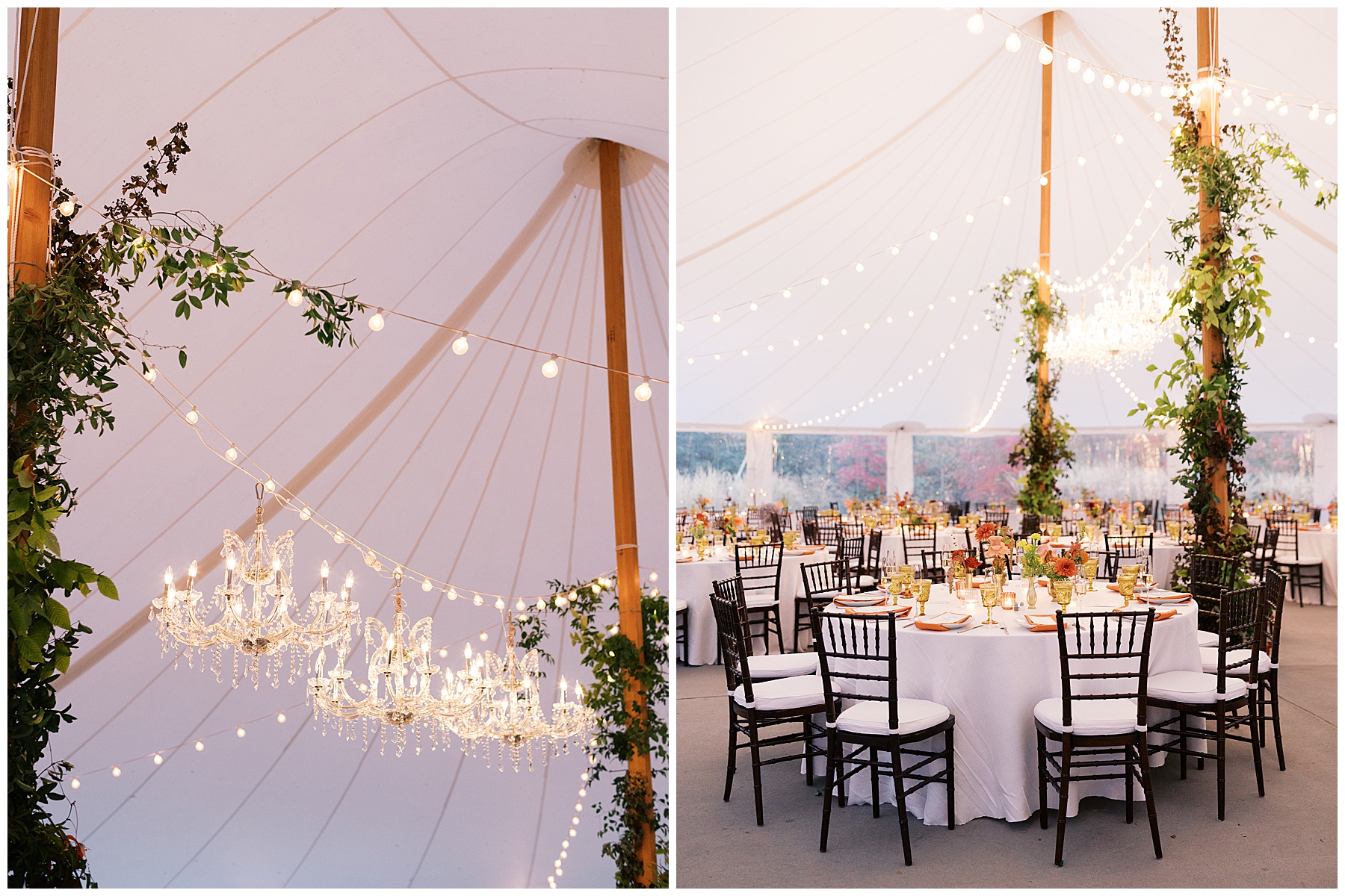 stringed lights and chandeliers decorate ceiling of tented reception
