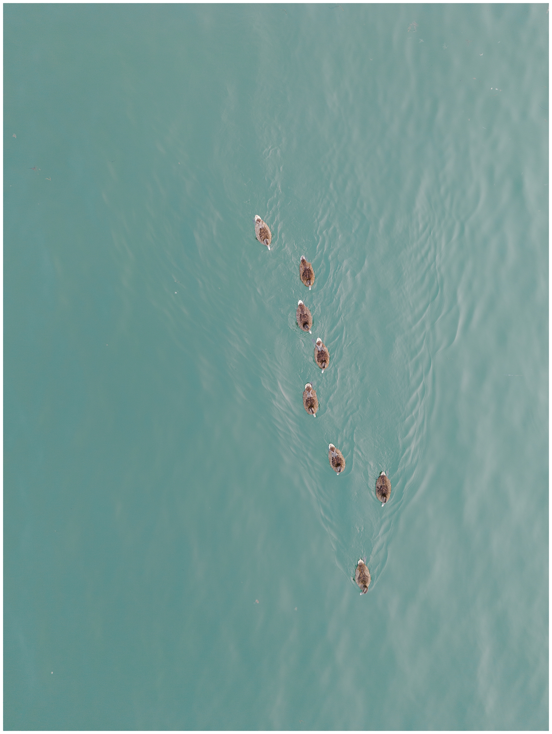 aerial view of water in Cape Cod