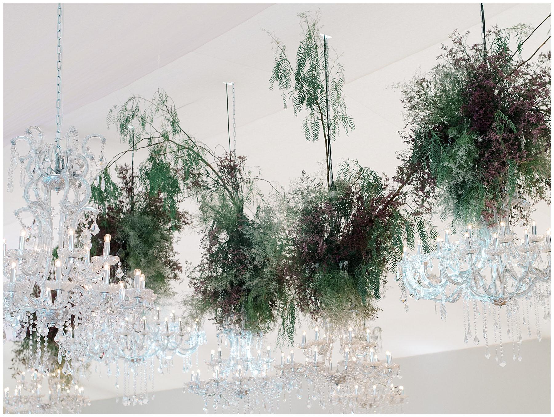 chandeliers with greenery hanging from ceiling in reception space