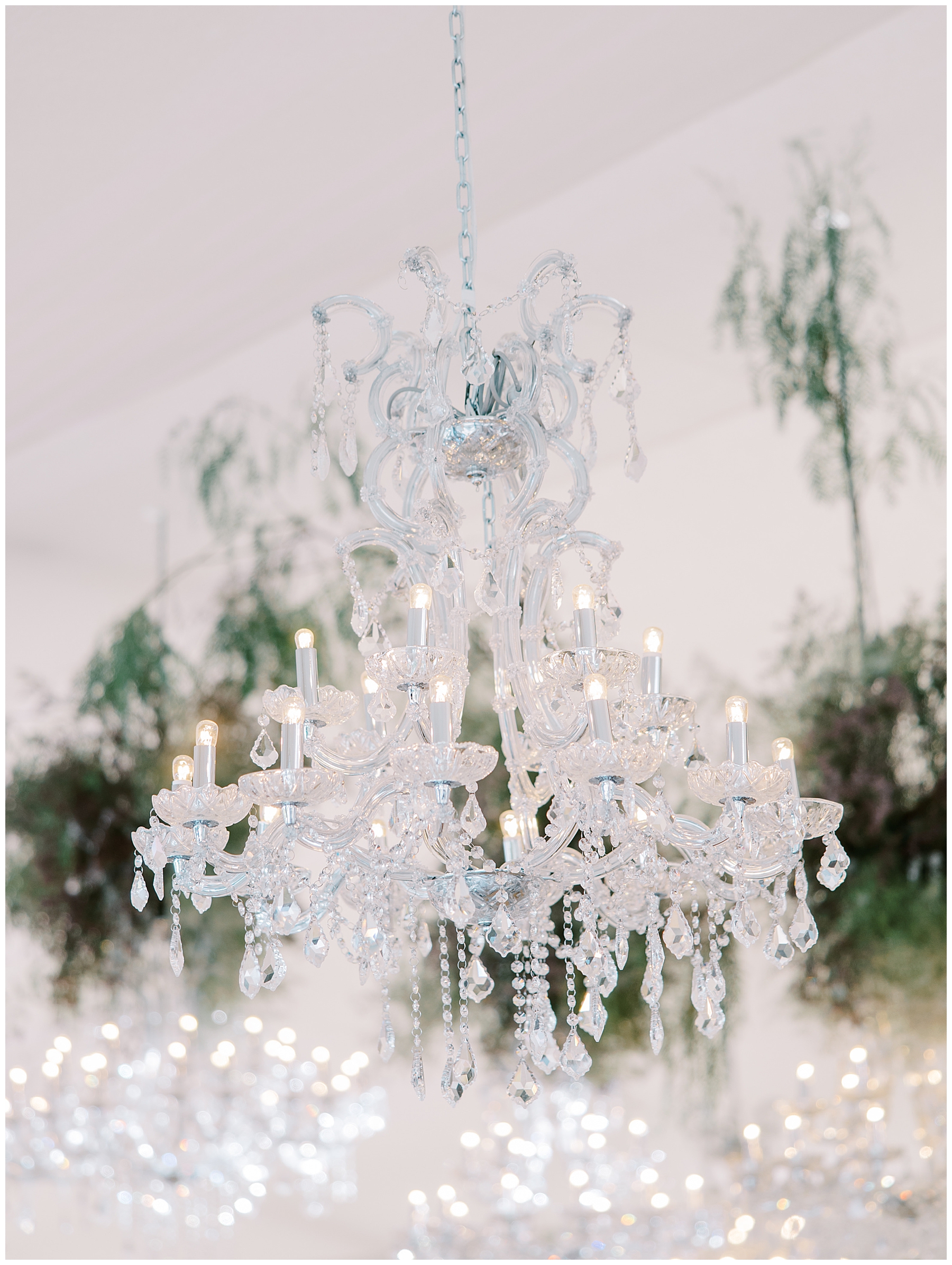 elegant chandelier
