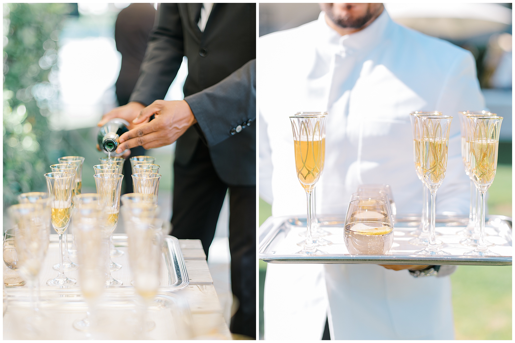 champagne for toasting 