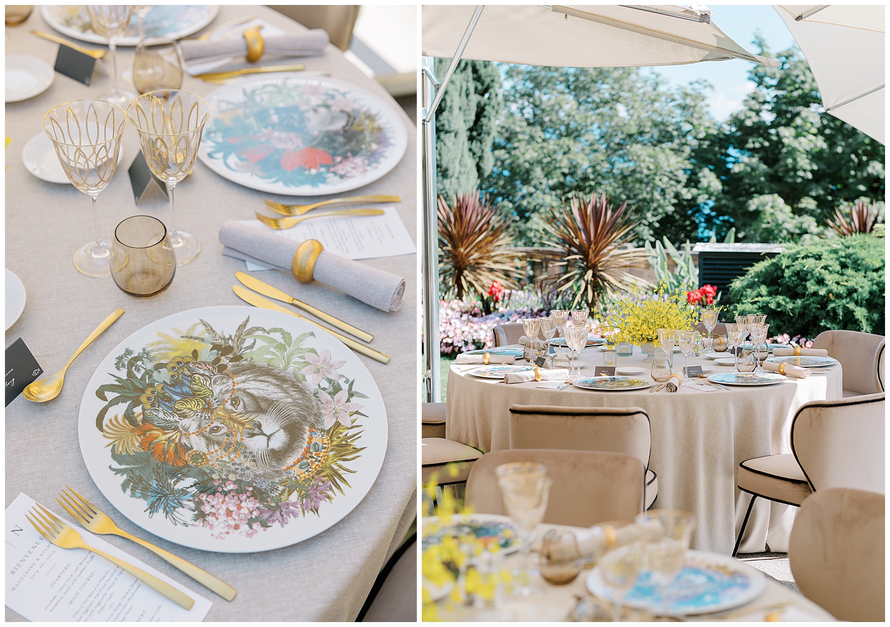 plates and tablescape design from rehearsal dinner 