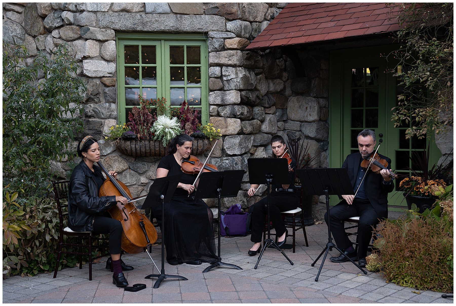 stringed instruments at outdoor wedding ceremony