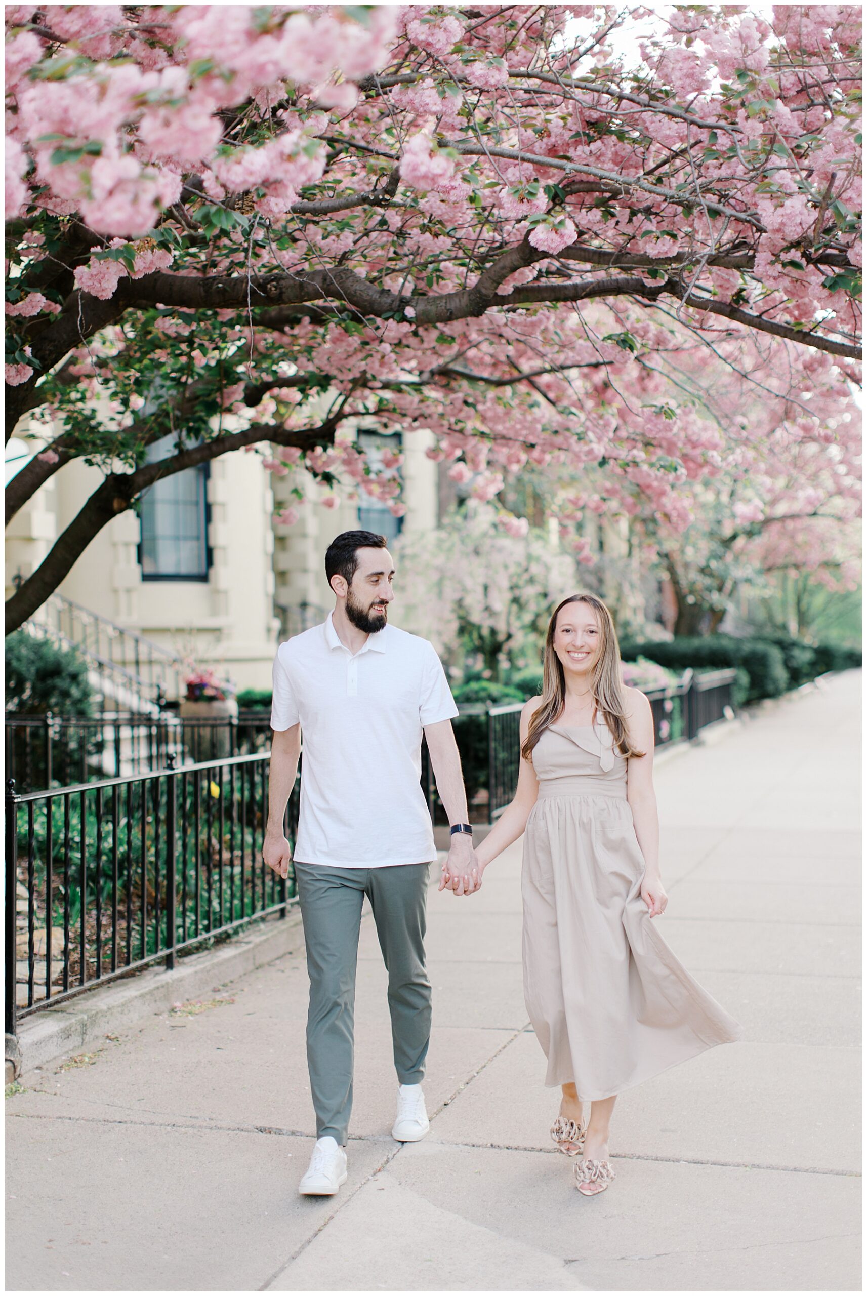 Magnolia Blooms in Boston’s Back Bay area