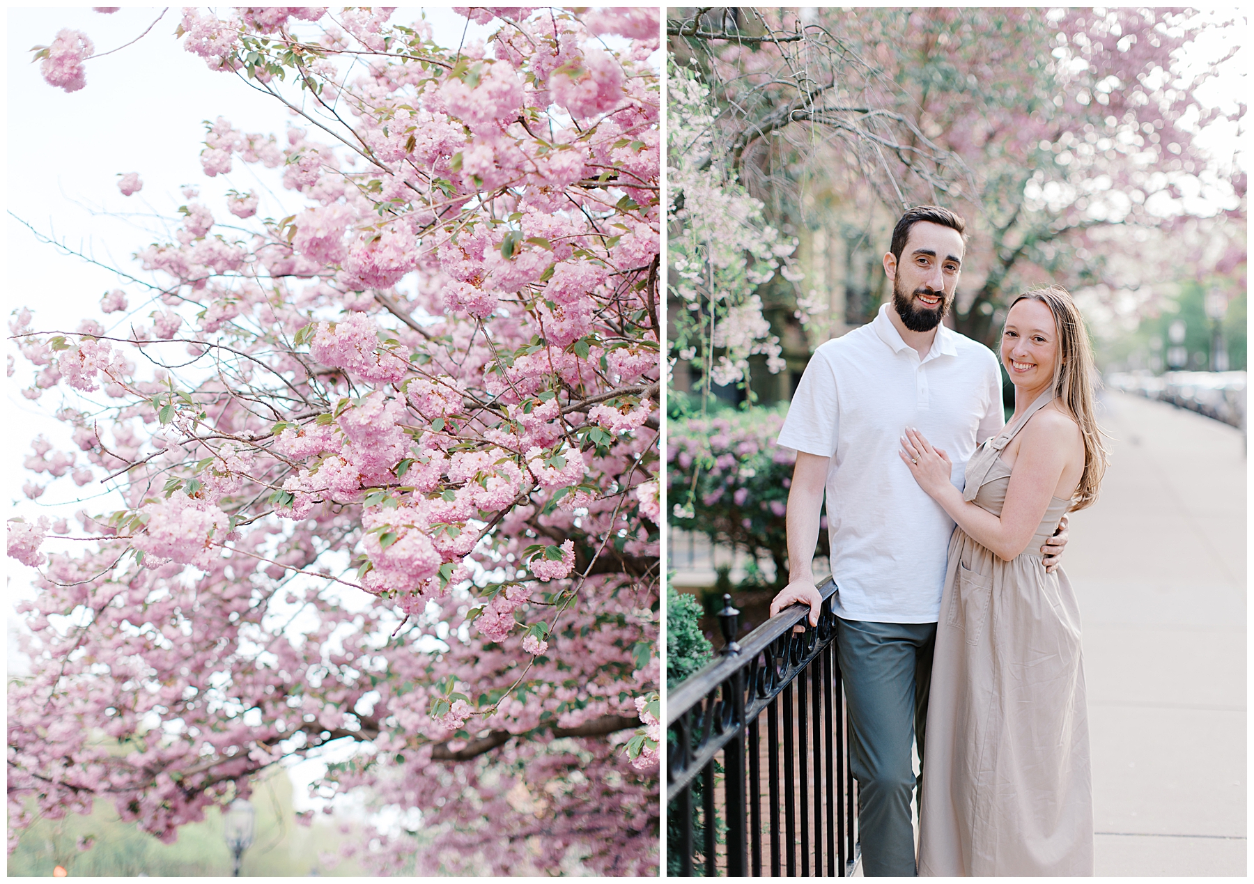 Spring Magnolia Engagement Session in Boston’s Back Bay Area